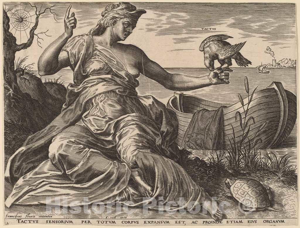 Art Print : Cort After Frans Floris I, Tactus, 1561 - Vintage Wall Art