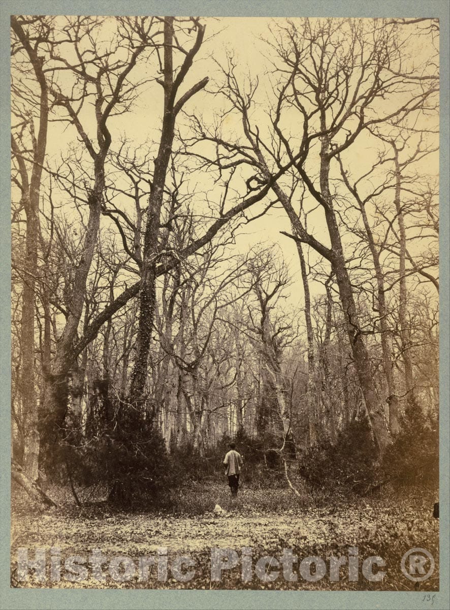 Photo Print : Constant Alexandre Famin - Man in a Forest Landscape : Vintage Wall Art