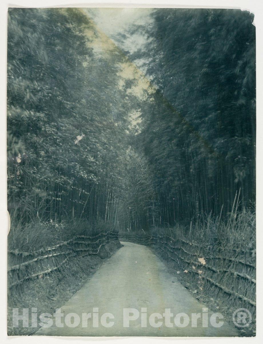 Photo Print : Adolf de Meyer - Arashiyama, Kyoto, Japan : Vintage Wall Art