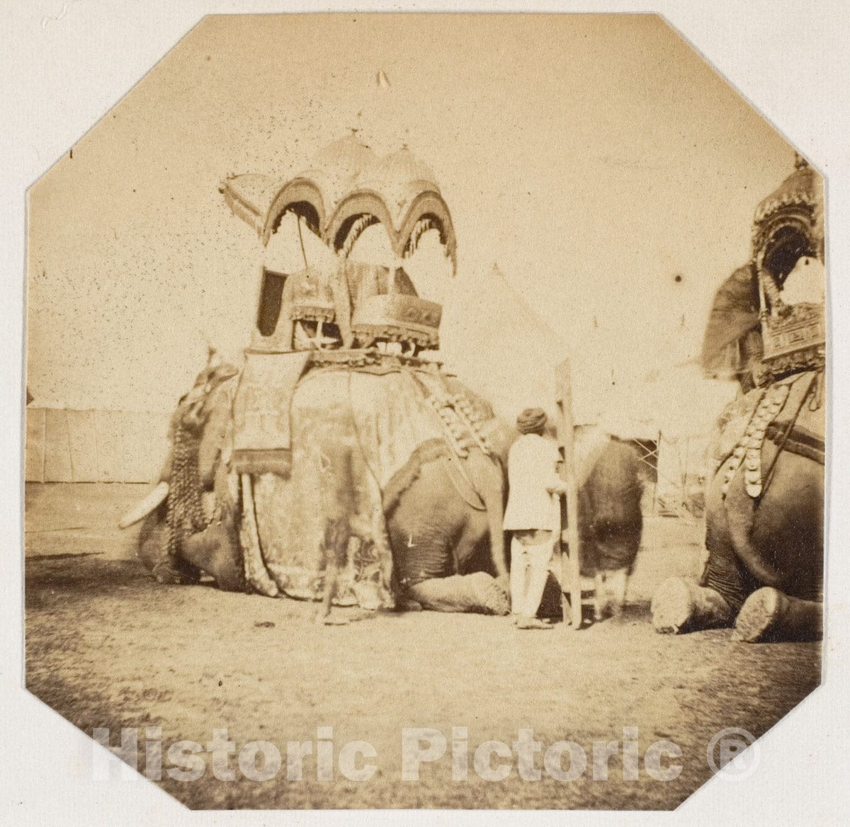 Photo Print : Maharajah Putteala's State Elephant : Vintage Wall Art
