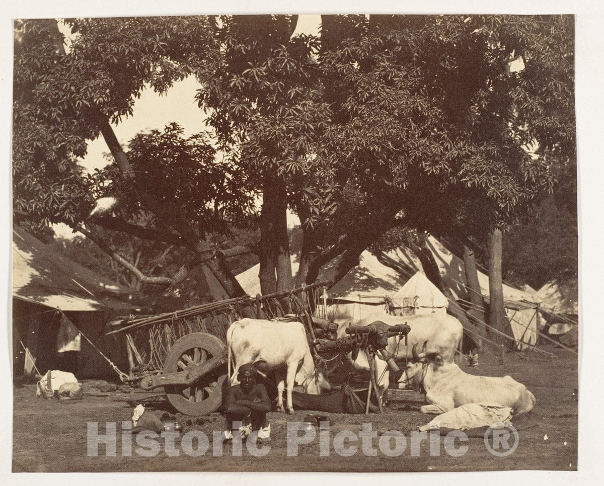 Photo Print : Scene in Camp : Vintage Wall Art