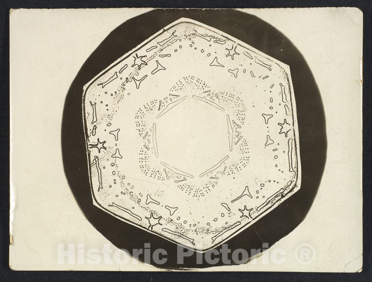 Photo Print : Wilson Alwyn Bentley - Snow Crystal - 408729 : Vintage Wall Art