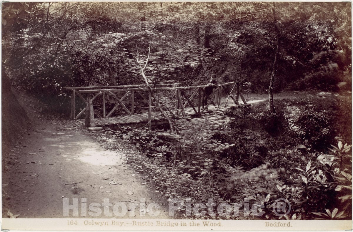Photo Print : Francis Bedford - Colwyn Bay. Rustic Bridge in The Wood : Vintage Wall Art