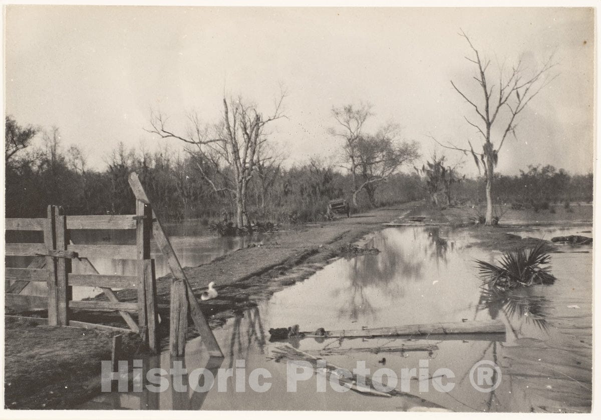 Photo Print : Morgan Whitney - Road Through Flooded Land : Vintage Wall Art