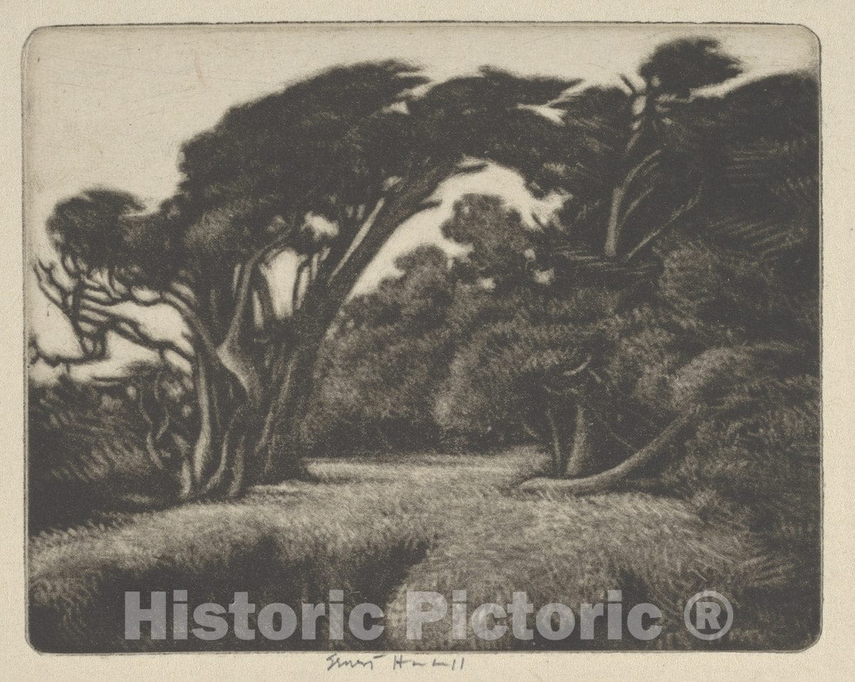 Art Print : Ernest Haskell - Cypress Bower : Vintage Wall Art
