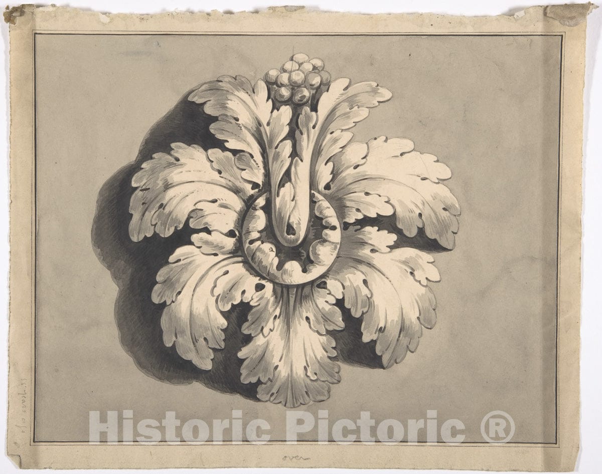 Art Print : British, 19th Century - Design for a Boss Carved with Acanthus : Vintage Wall Art