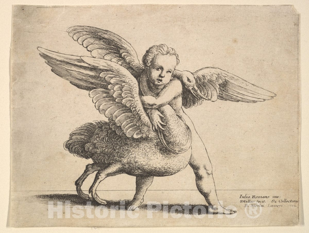 Art Print : Wenceslaus Hollar - Cupid and The swan : Vintage Wall Art