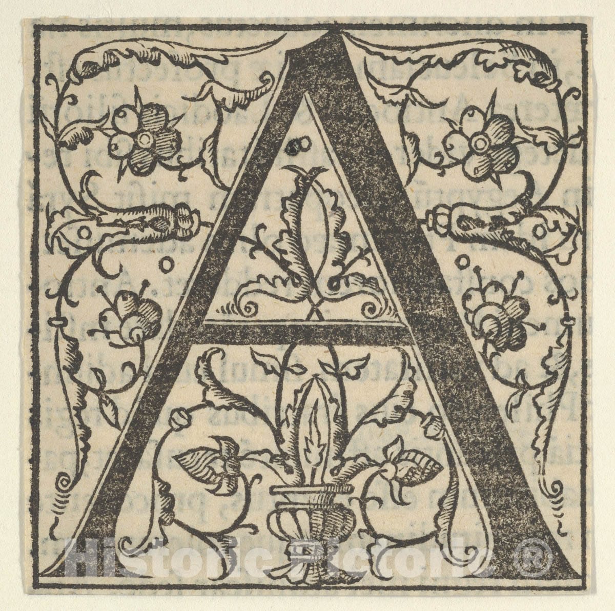 Art Print : Oronce Finé - Initial Letter A with Garlands : Vintage Wall Art