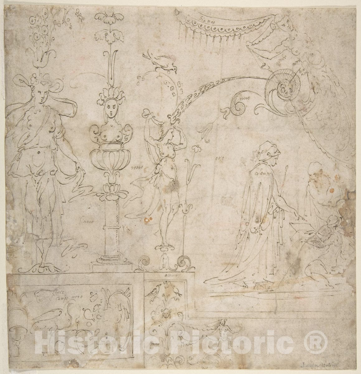 Art Print : Perino del Vaga (Pietro Buonaccorsi) - Design for a Grotesque Wall Decoration : Vintage Wall Art