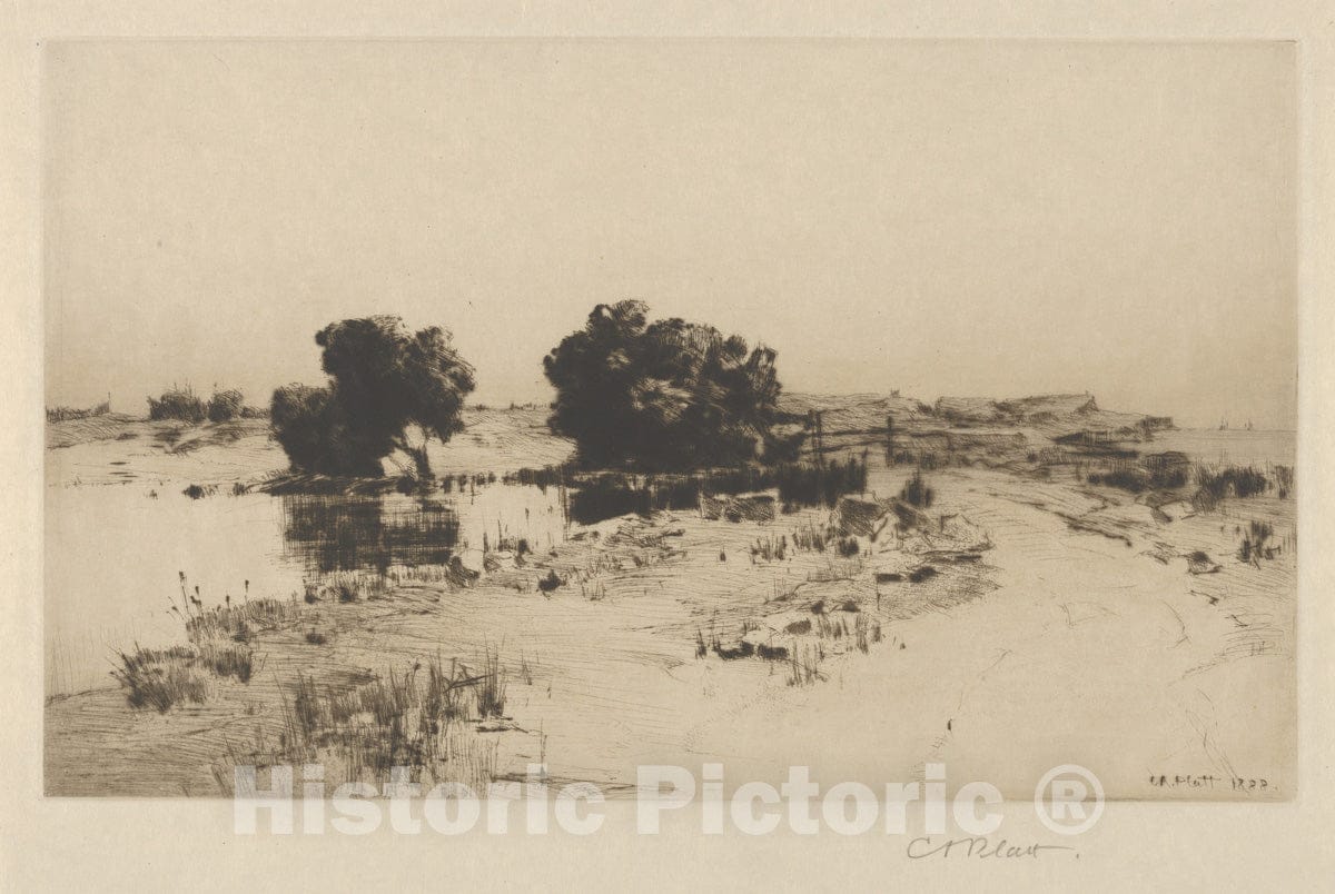 Art Print : Charles Adams Platt - Cape Ann Willows : Vintage Wall Art