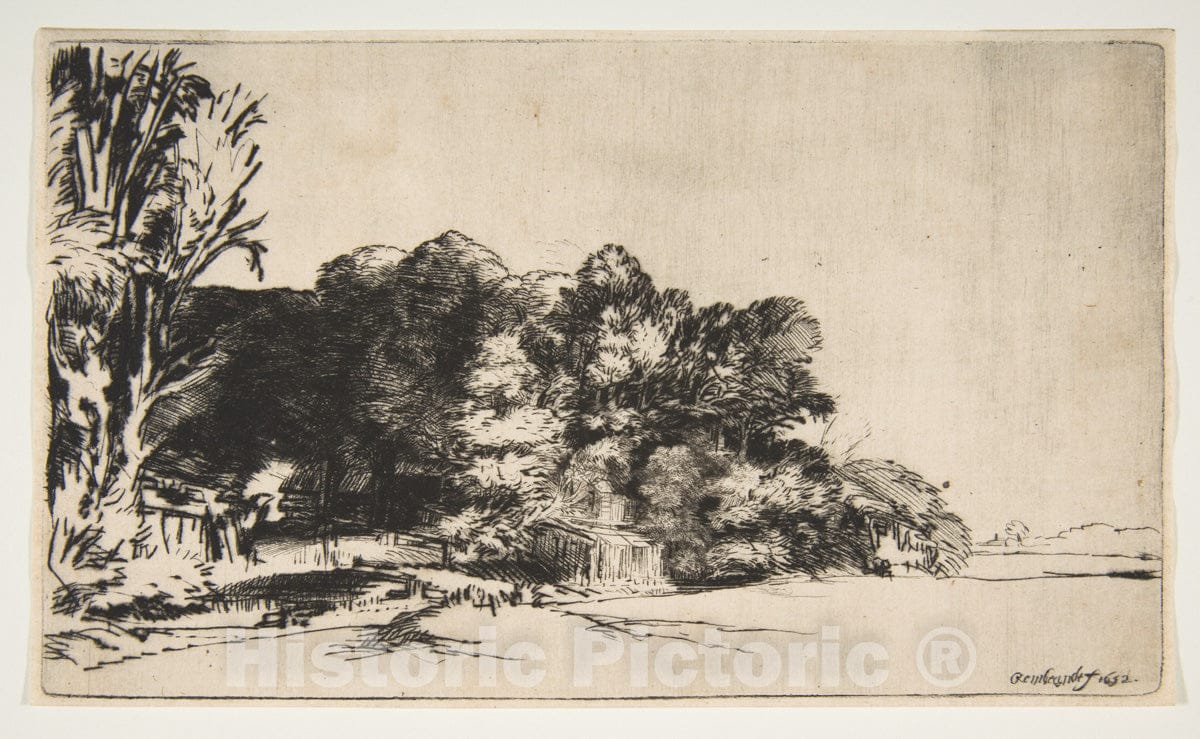 Art Print : Rembrandt (Rembrandt Van Rijn) - Clump of Trees with a Vista : Vintage Wall Art