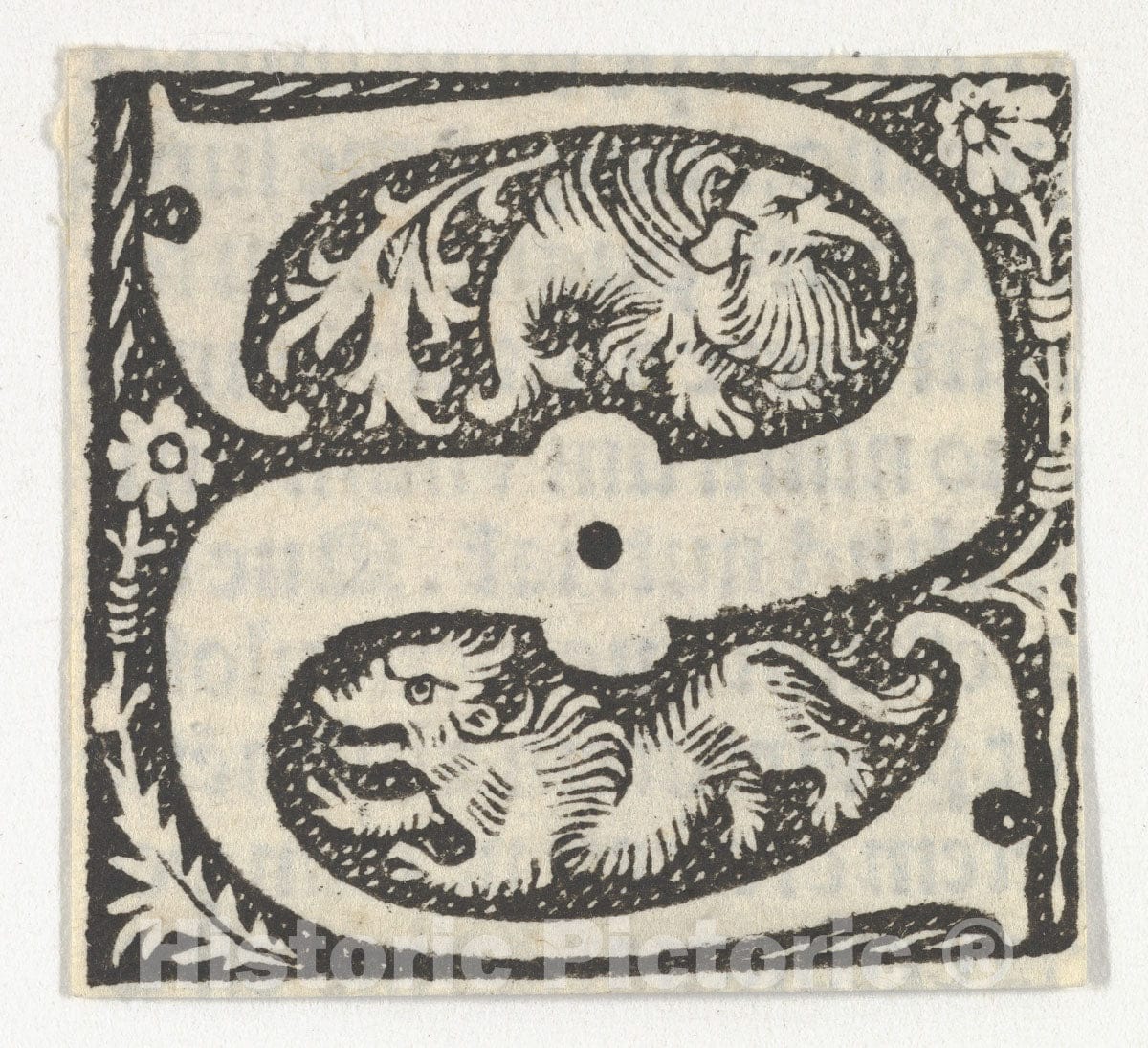 Art Print : Anonymous, French, 15th Century - Decorated Roman Alphabet 5 : Vintage Wall Art