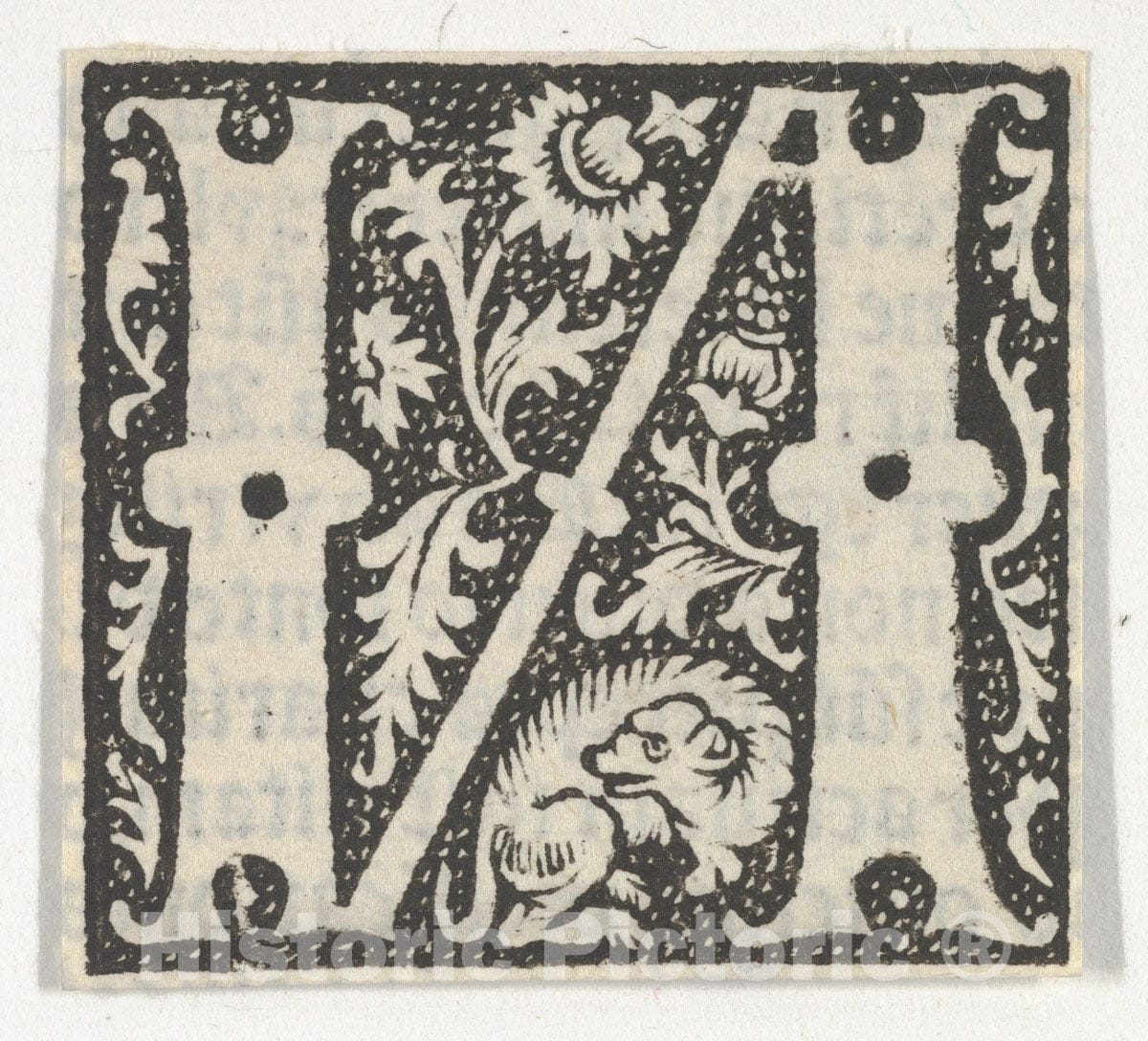Art Print : Anonymous, French, 15th Century - Decorated Roman Alphabet 2 : Vintage Wall Art