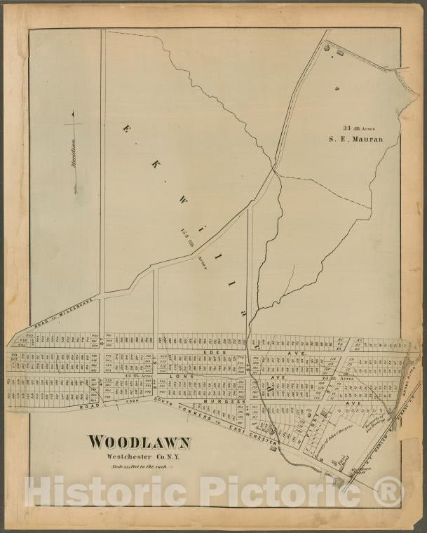 Historic Map - 1872 Plate 81: Woodlawn, Westchester Co. N.Y. - Westchester County (N.Y.) - New York (State) - Vintage Wall Art