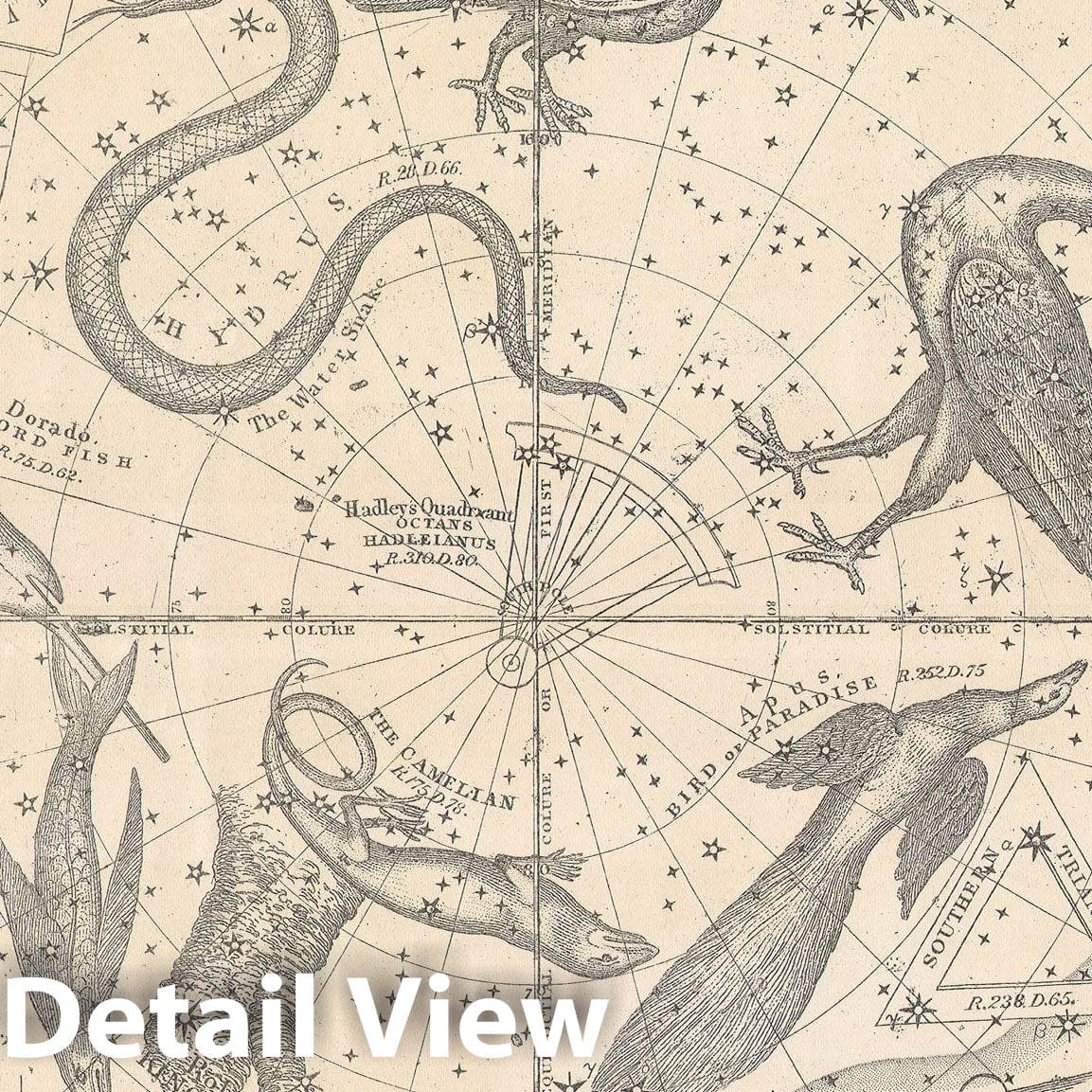 Historic Map : The Stars & Constellations of The Southern Hemisphere, Burritt - Huntington, 1856, Vintage Wall Art