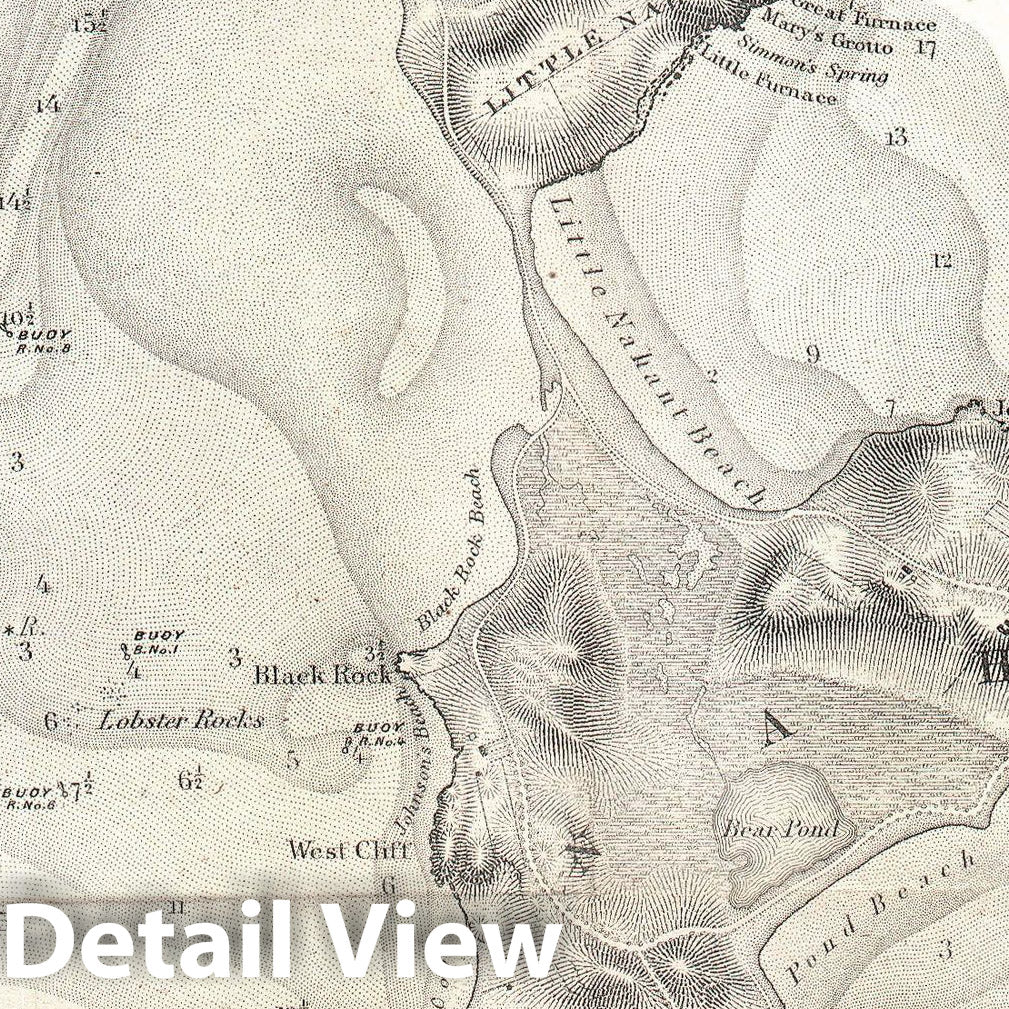 Historic Map : U.S. Coast Survey Map of Lynn Harbor, Massachusetts, 1859, Vintage Wall Art