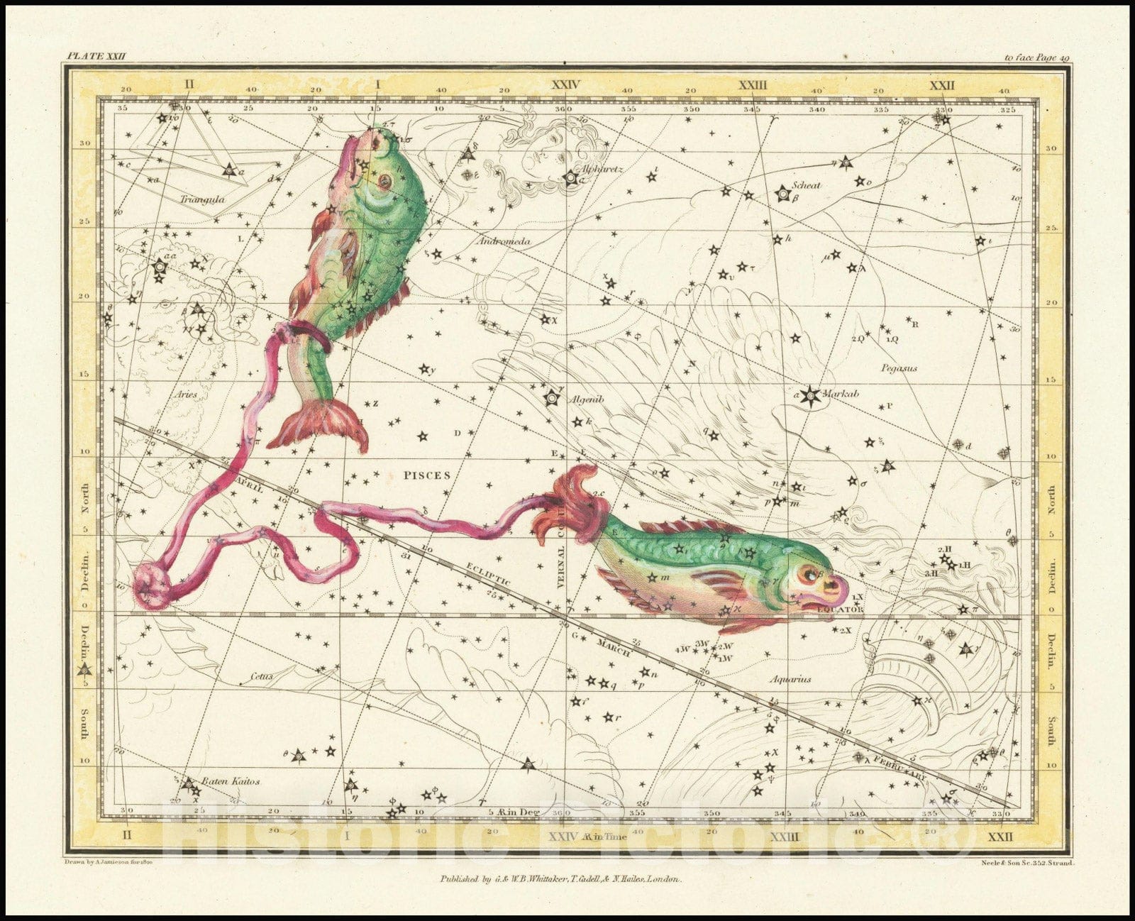 Historic Map : Pisces, 1822, Vintage Wall Art
