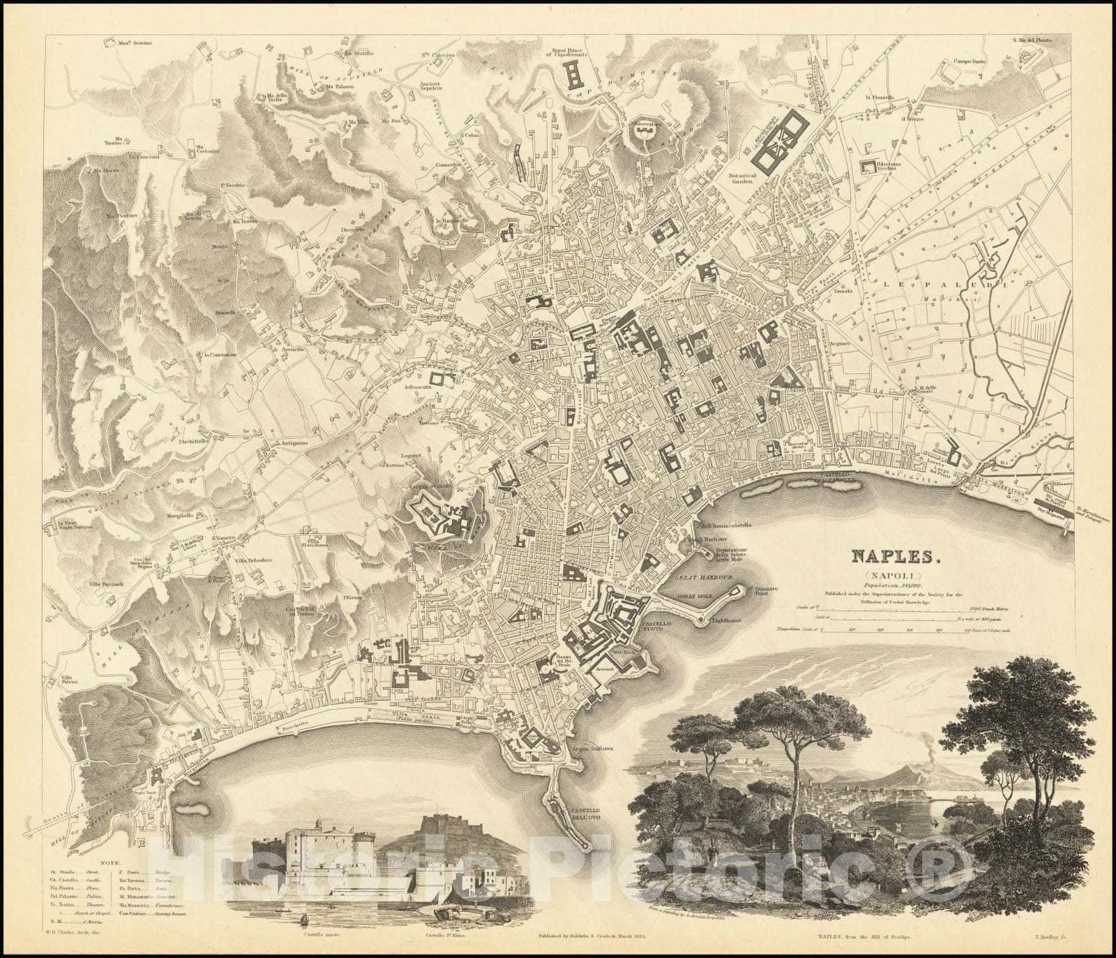 Historic Map : Naples , 1835, Vintage Wall Art