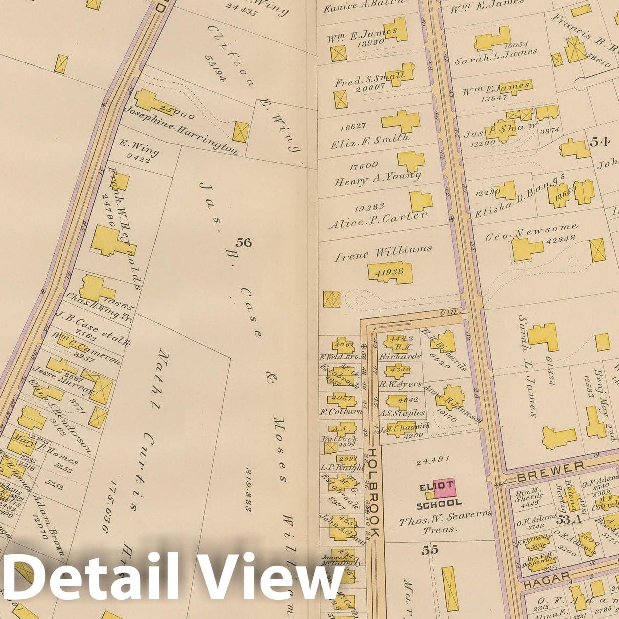 Historic Map : Atlas City of Boston, West Roxbury, Jamaica Plain 1890 Plate 005 , Vintage Wall Art