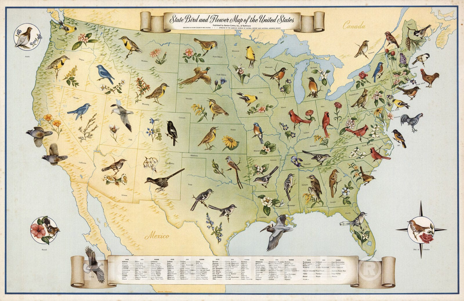 Historic Map - State Bird and Flower Map of the United States, 1965 - Vintage Wall Art