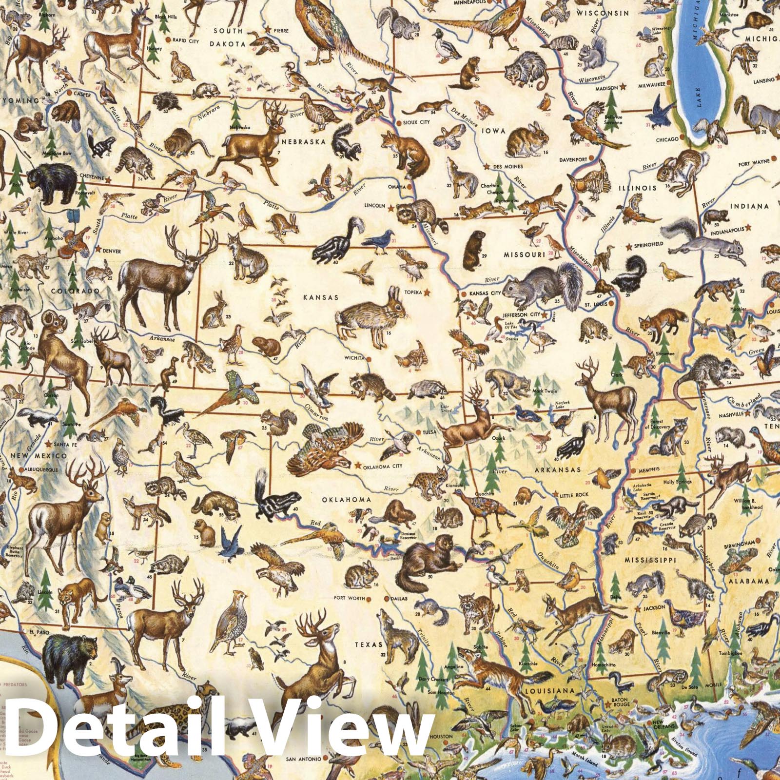 Historic Map - Pictorial wildlife and game map of the United States, 1956, - Vintage Wall Art