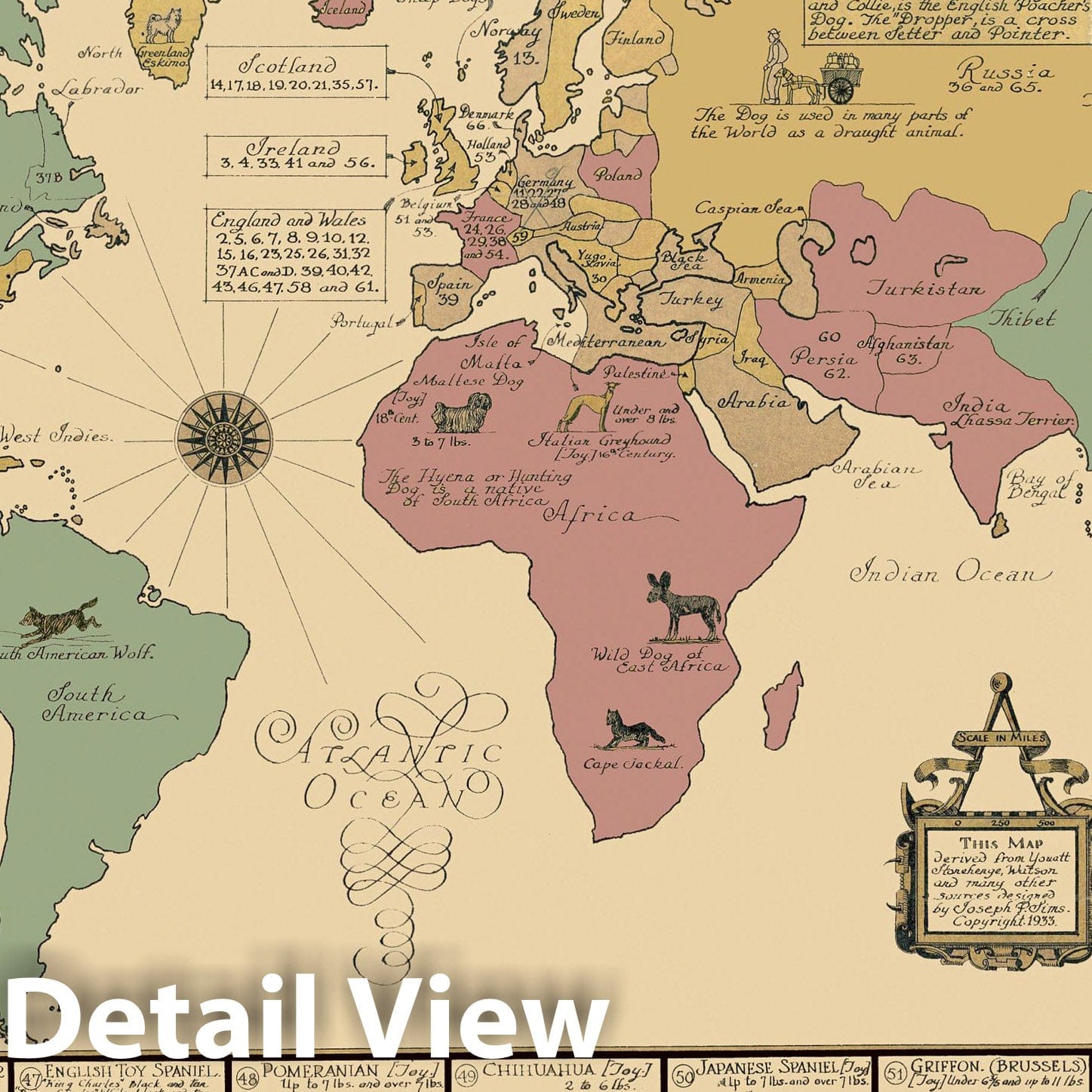 Historic Map - Dog Map of the World, 1933, - Vintage Wall Art