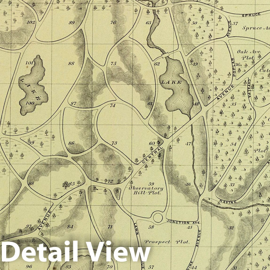 Historic Wall Map : 1868 Woodlawn Cemetery. - Vintage Wall Art