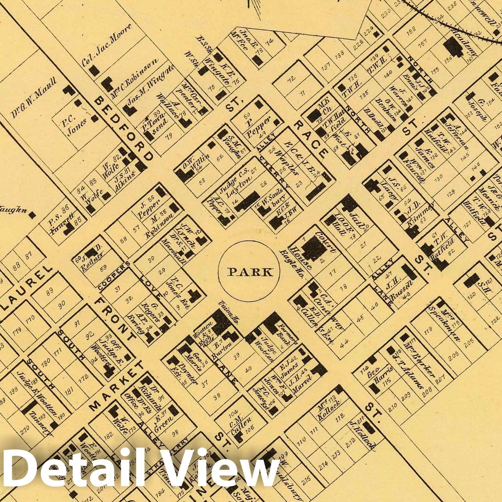 Historic Wall Map : 1868 Georgetown. - Vintage Wall Art