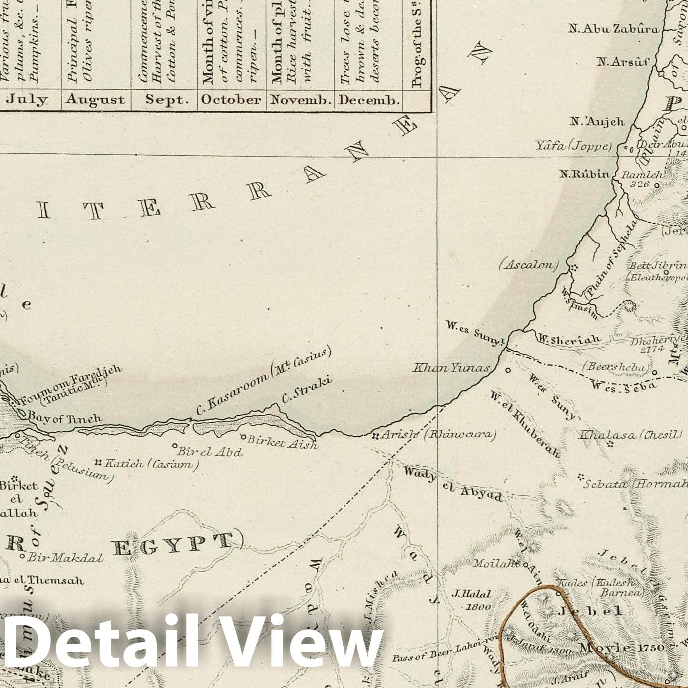 Historic Map : 1850 Palestine - Physical Geography. - Vintage Wall Art