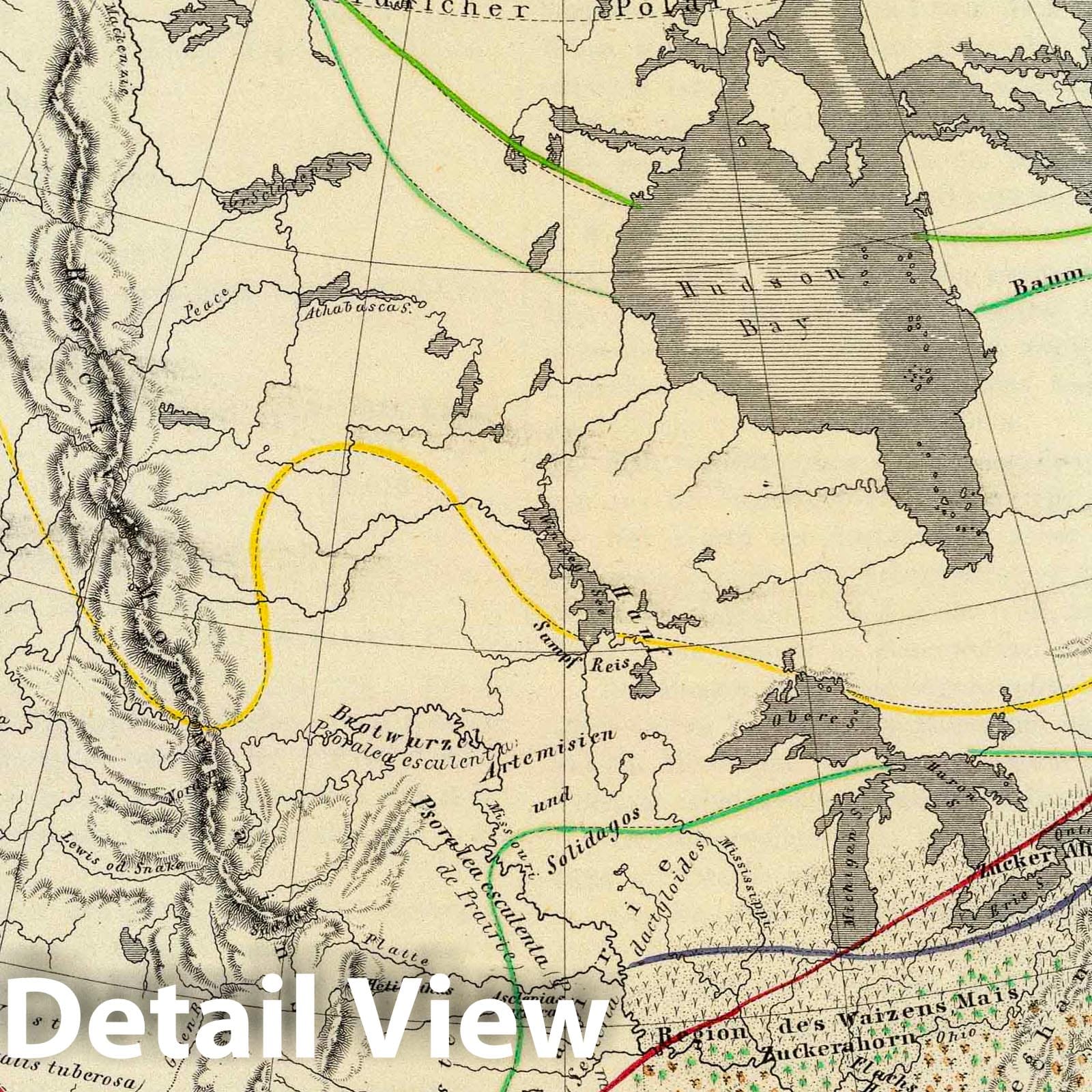 Historic Map : Canada; United States, , North America 1854 Verbreitung der nahrungs- und kleidungsstoffe liefernden Pflanzen etc. in Nord Amerika. , Vintage Wall Art