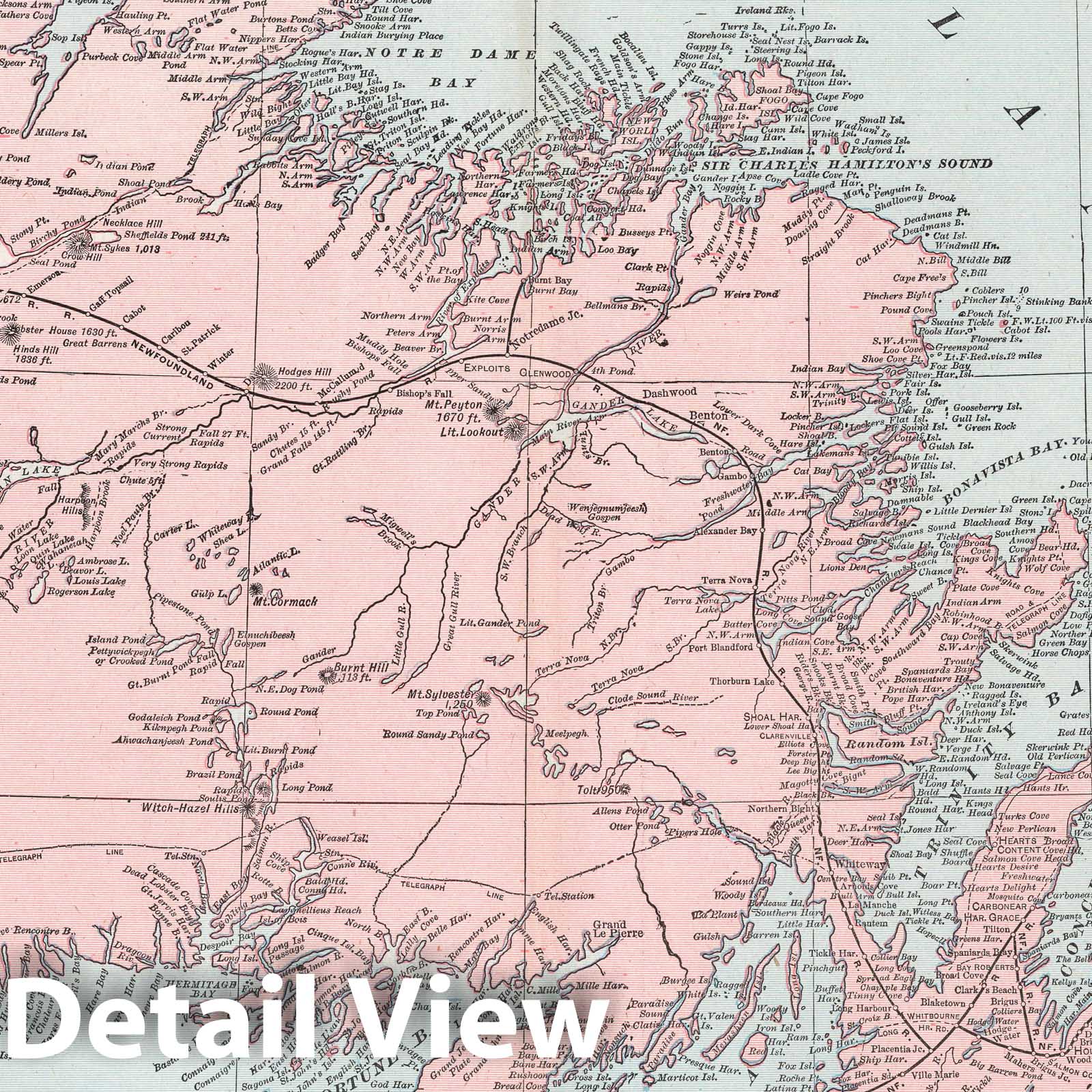 Historic Map : 1901 Map of Newfoundland - Vintage Wall Art