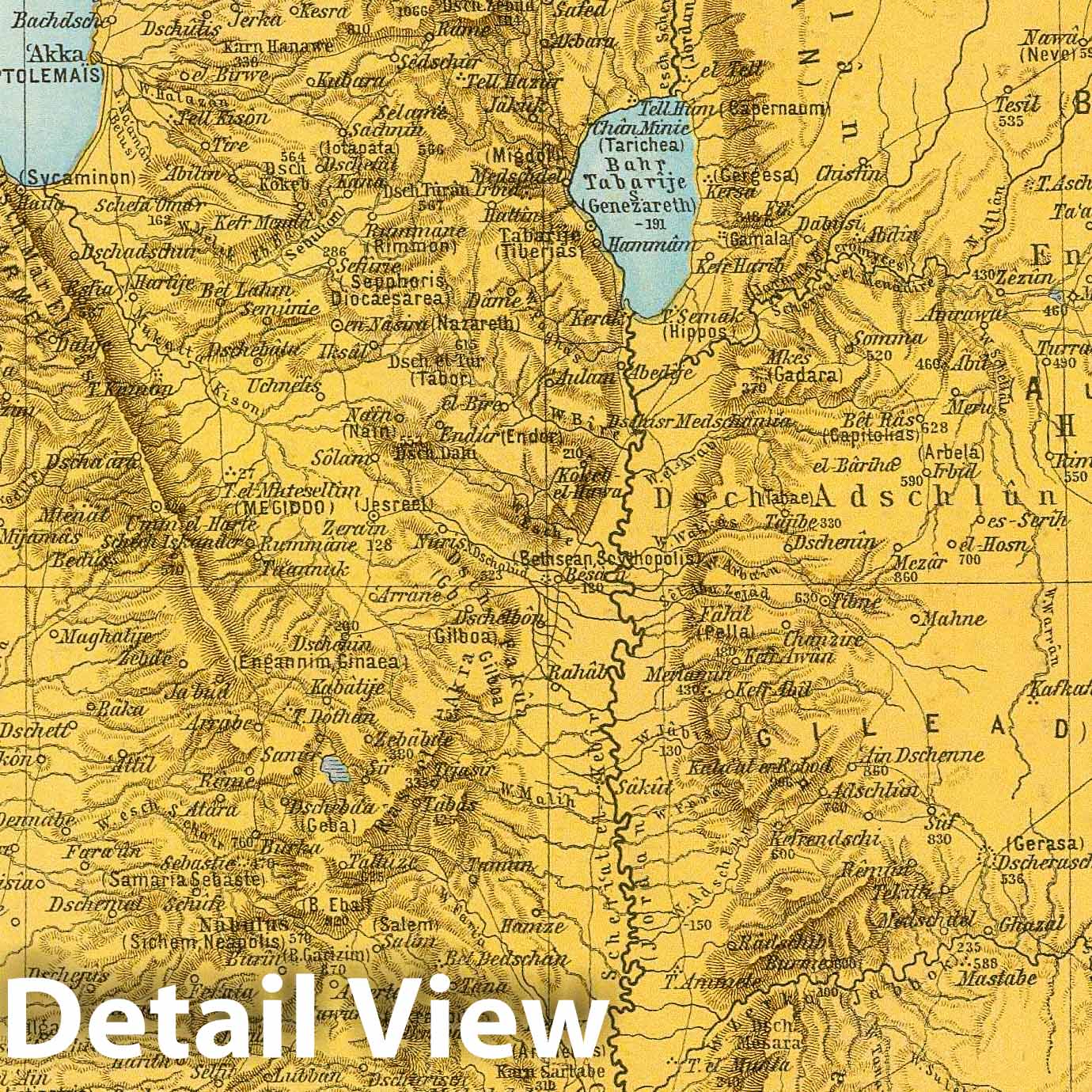Historic Map : Israel; Palestine, Middle East 1881 Palastina. , Vintage Wall Art