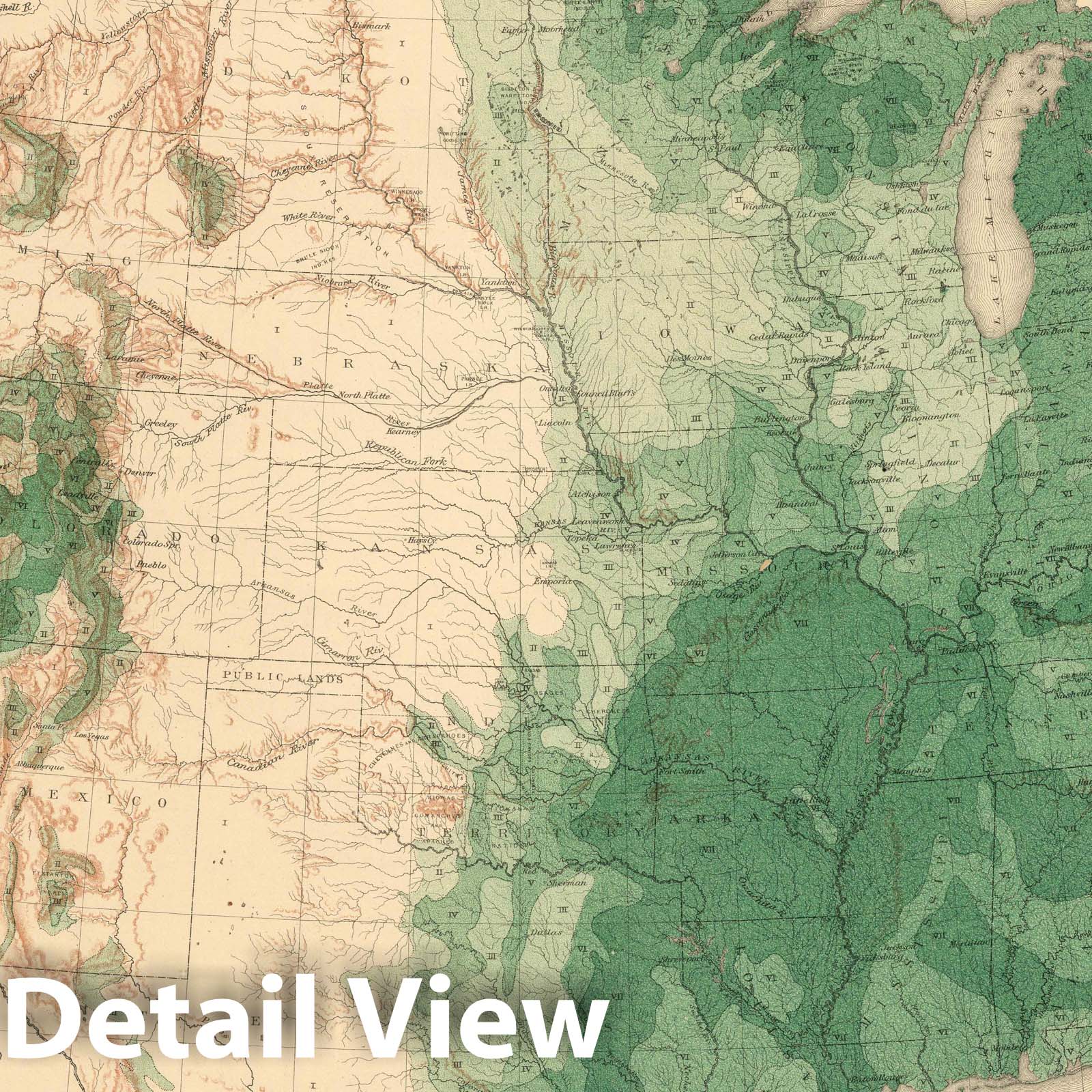 Historic Map : 1884 United States Showing The Relative Average Density of Existing Forests. - Vintage Wall Art
