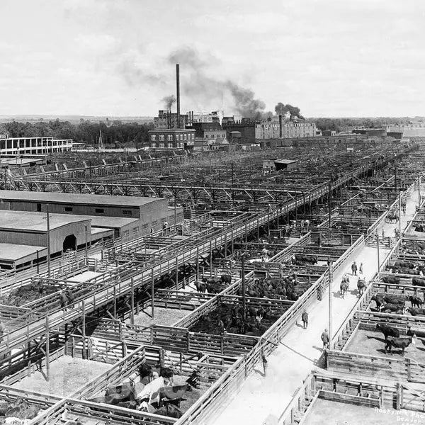 Historic Restored Photo Favorites