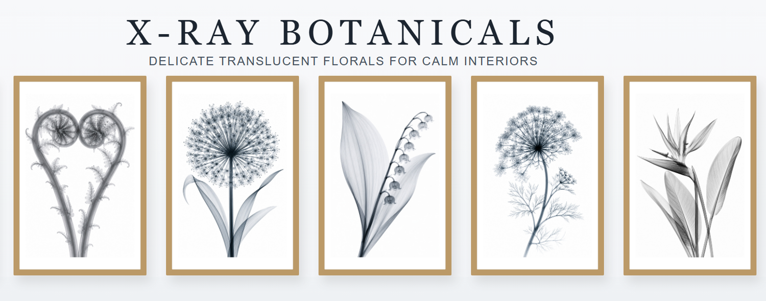 X-Ray Botanicals