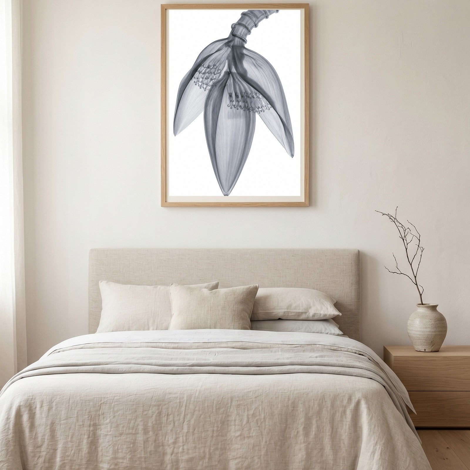 Banana Blossom X-Ray Botanical Art Print | Musa | Scientific Floral Wall Art