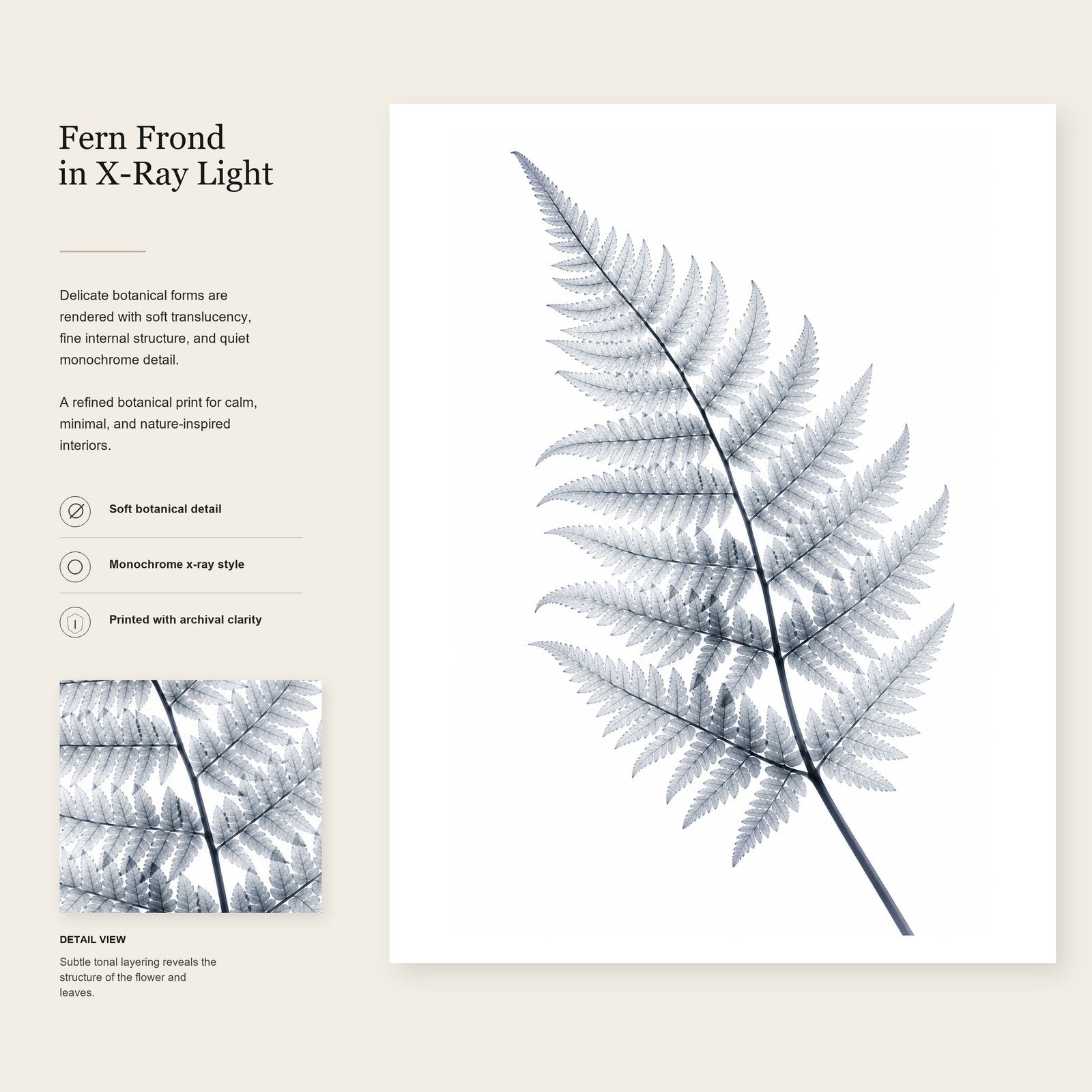 Fern Frond X-Ray Botanical Art Print | Polypodiophyta | Scientific Floral Wall Art