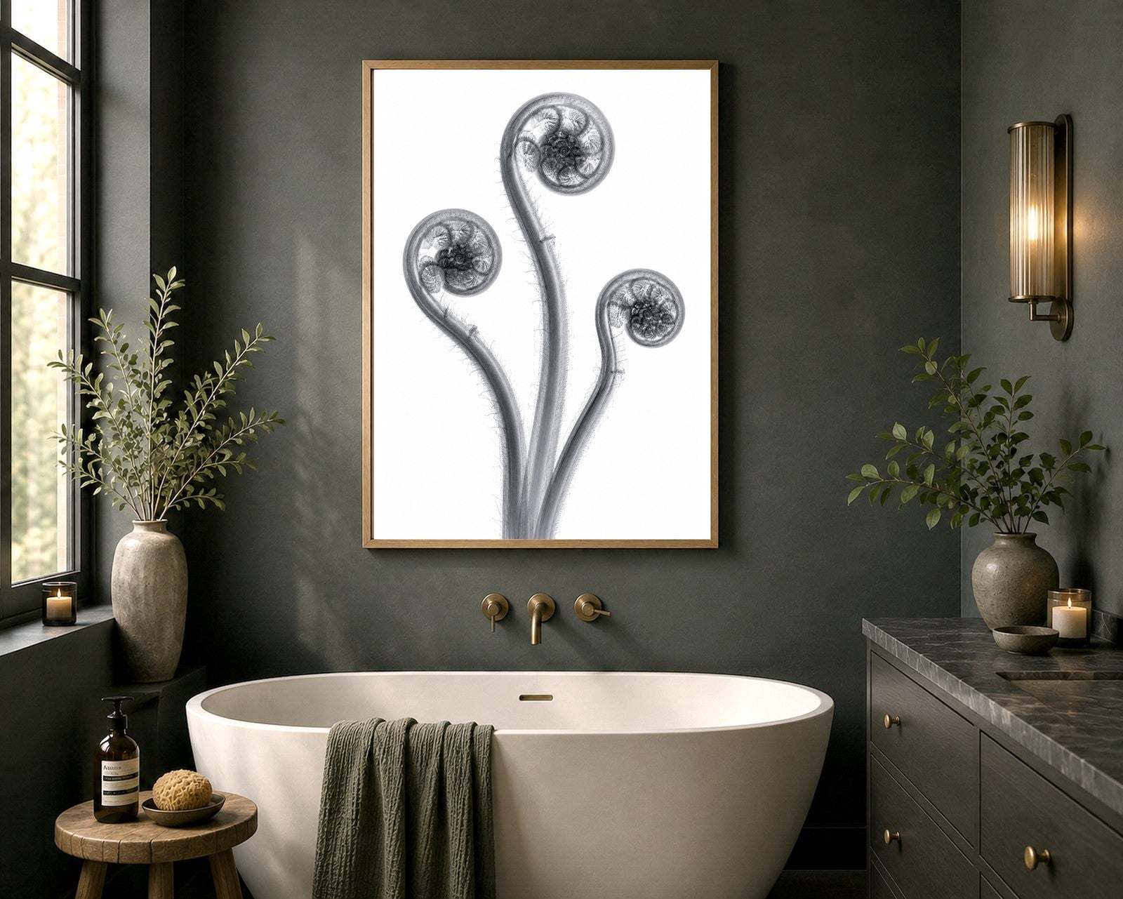 Fiddleheads Trio (Left Curl) X-Ray Botanical Art Print | Matteuccia struthiopteris | Scientific Floral Wall Art