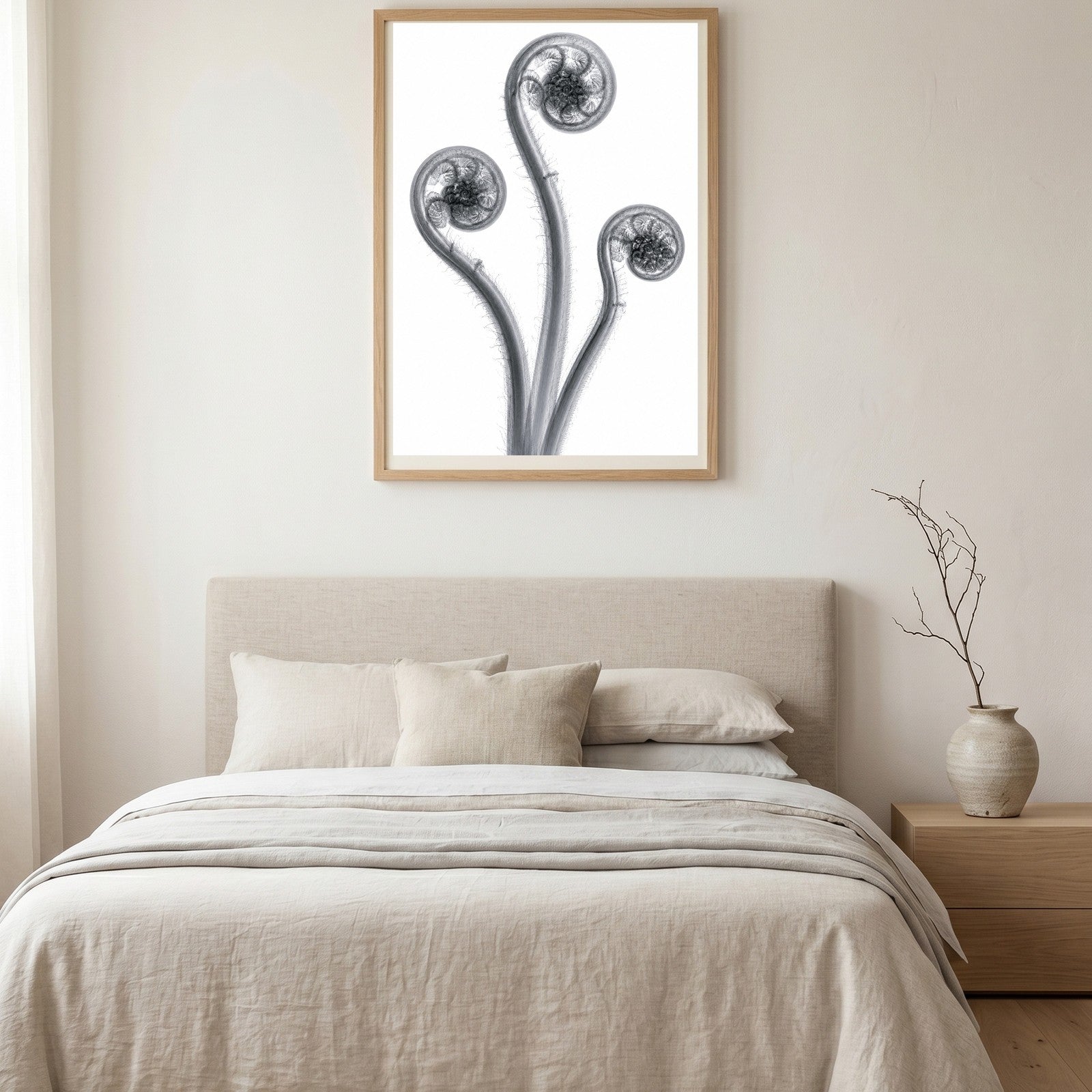 Fiddleheads Trio (Left Curl) X-Ray Botanical Art Print | Matteuccia struthiopteris | Scientific Floral Wall Art