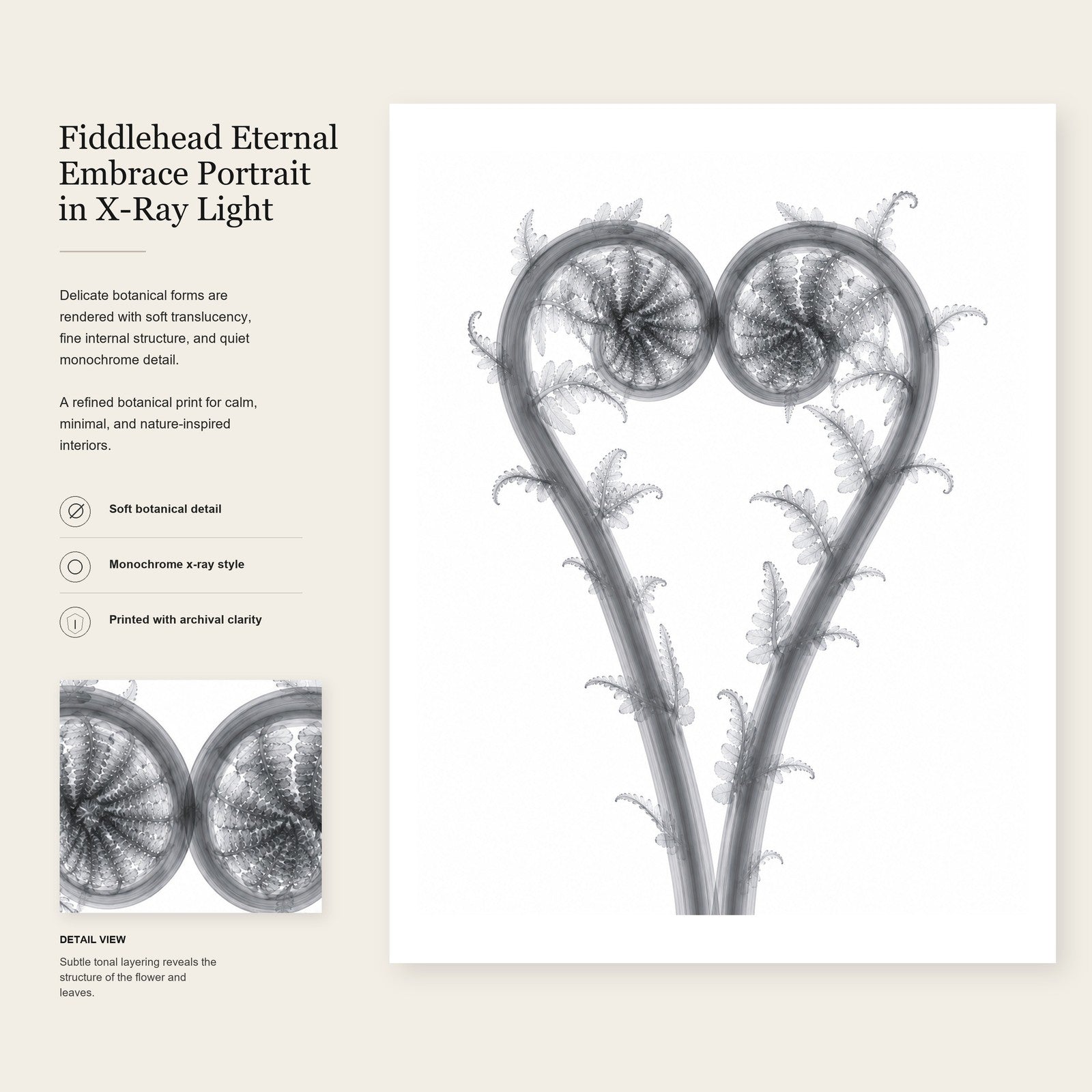 Eternal Embrace Fiddlehead X-Ray Style Art Print | Polystichum munitum Botanical Wall Decor | Portrait Black & White Fine Art | Museum Style Fine Art