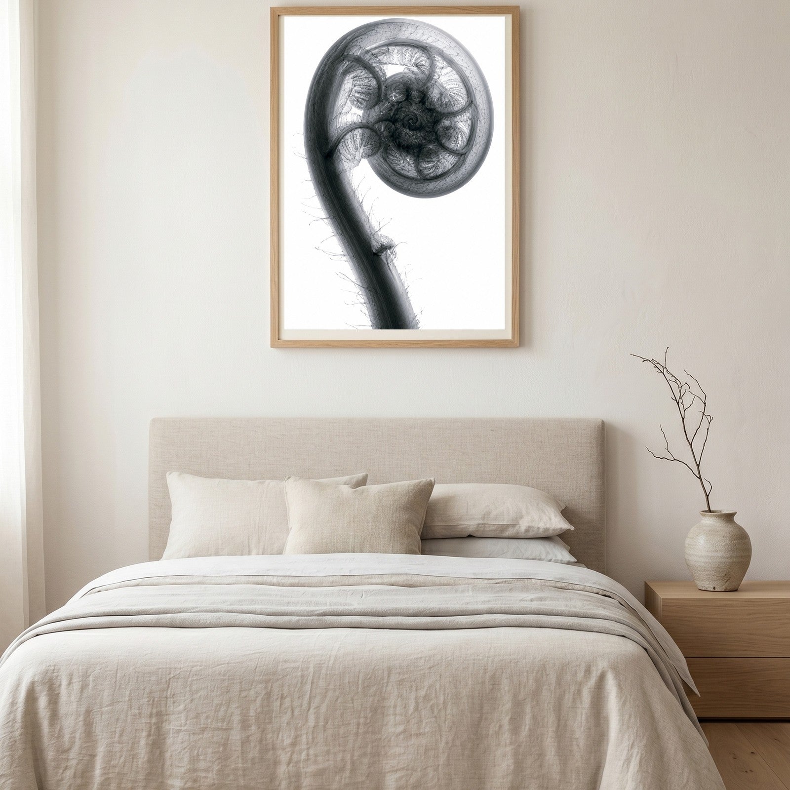 Fiddlehead Fern X-Ray Botanical Art Print | Matteuccia struthiopteris | Scientific Floral Wall Art