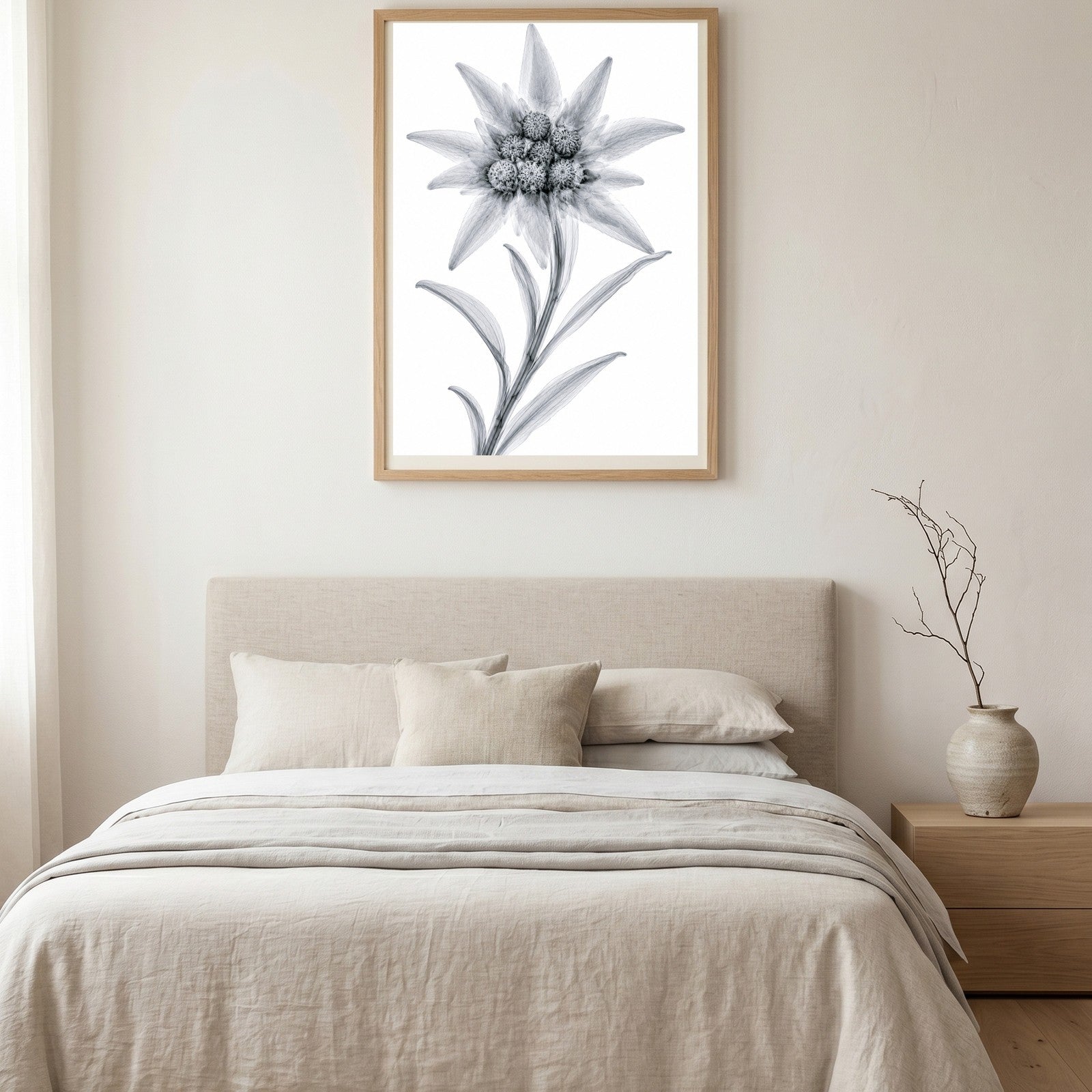Edelweiss X-Ray Style Art Print | Leontopodium alpinum Botanical Wall Decor | Black & White Fine Art | Museum Style Fine Art