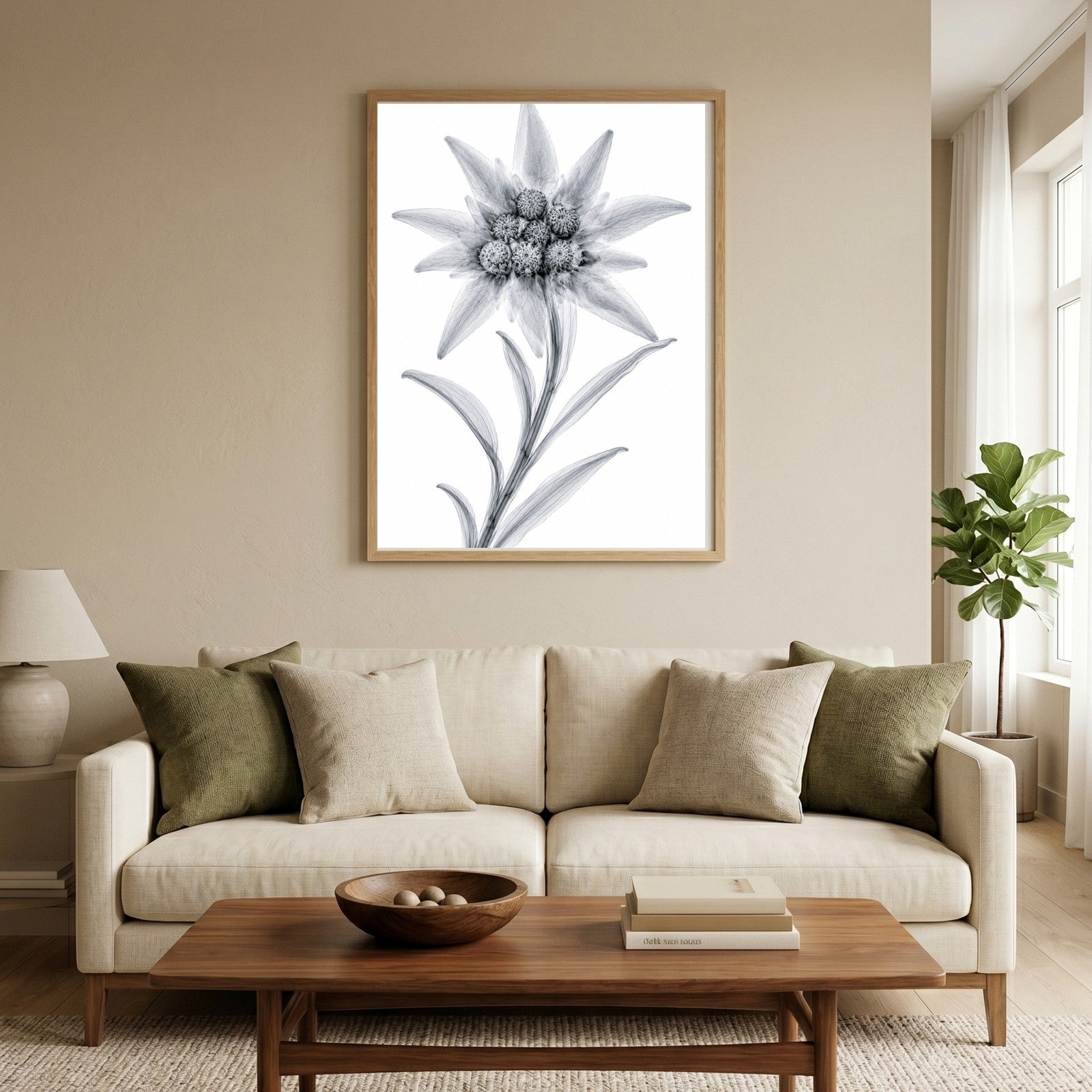 Edelweiss X-Ray Style Art Print | Leontopodium alpinum Botanical Wall Decor | Black & White Fine Art | Museum Style Fine Art