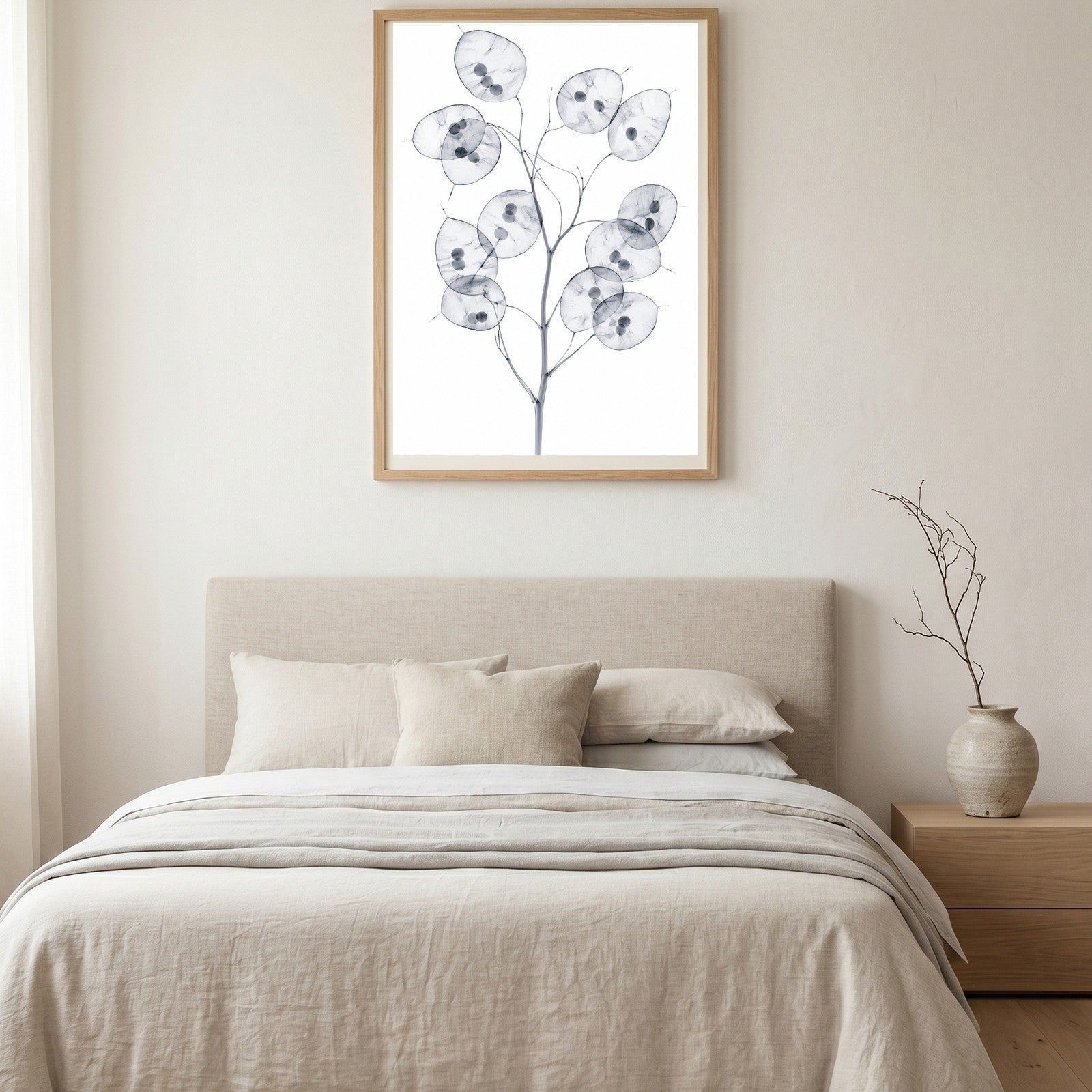 Honesty (Silver Dollar Plant) X-Ray Botanical Art Print | Lunaria annua | Scientific Floral Wall Art