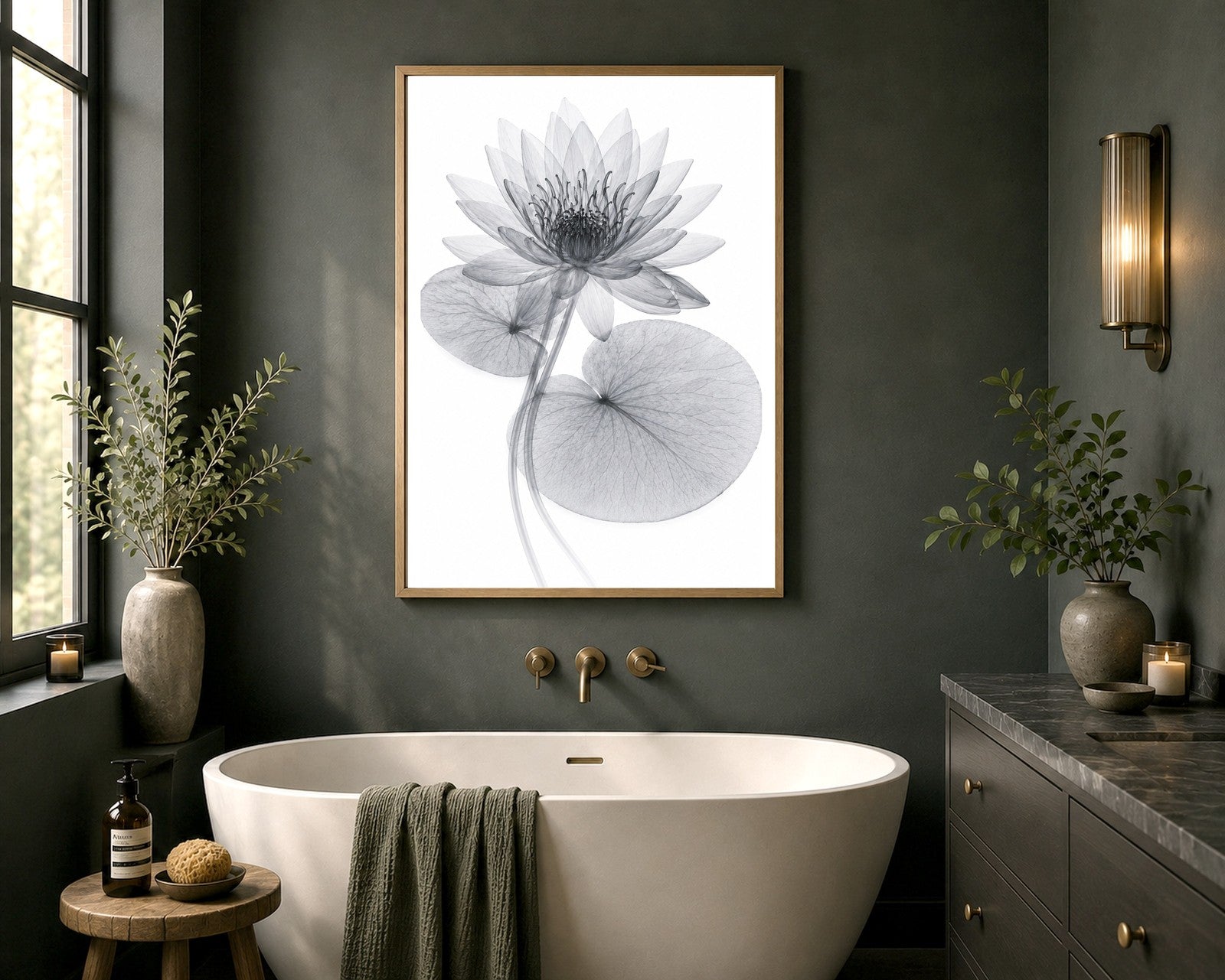 White Water Lily II X-Ray Botanical Art Print | Nymphaea alba | Scientific Floral Wall Art