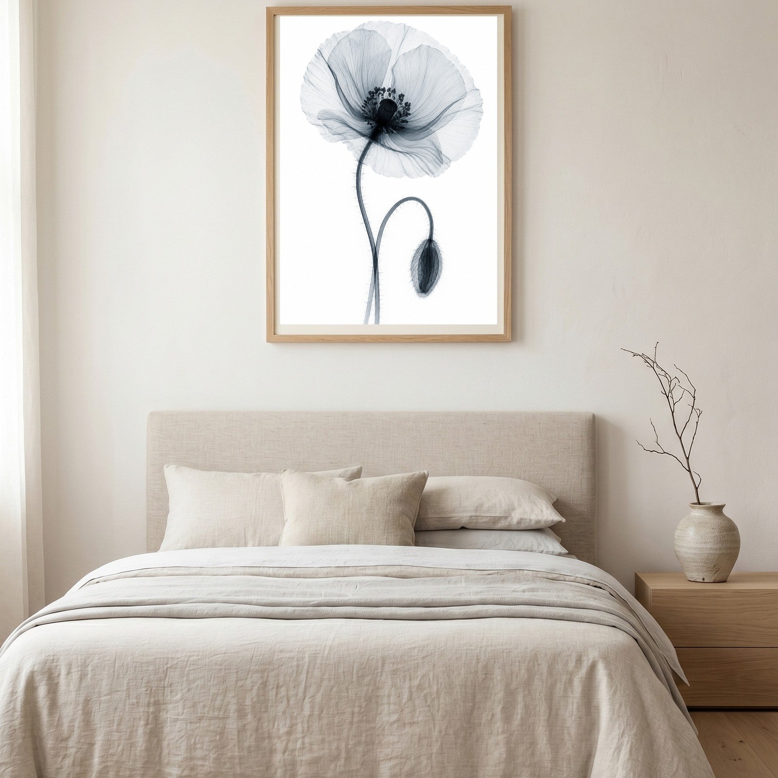 Corn Poppy X-Ray Botanical Art Print | Papaver rhoeas | Scientific Floral Wall Art