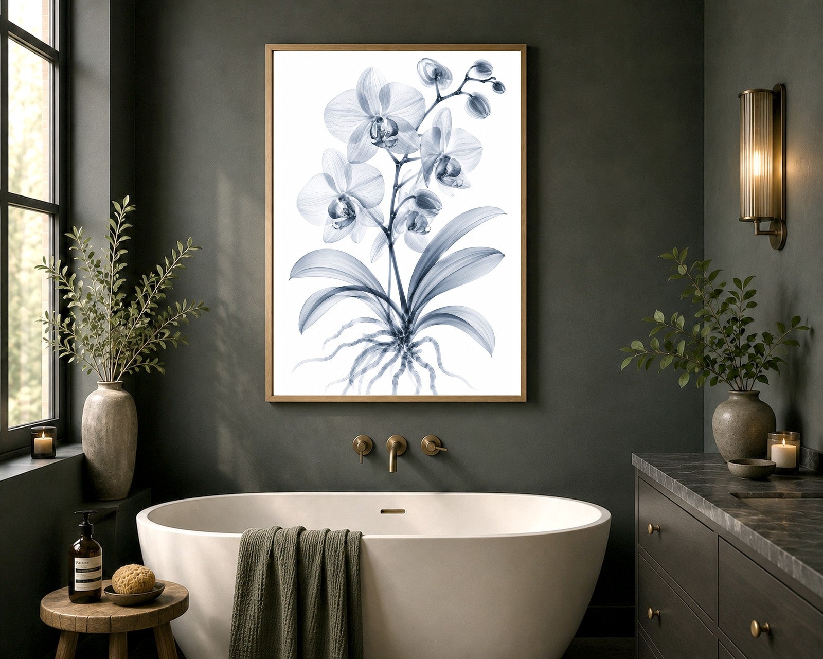 Moth Orchid X-Ray Botanical Art Print | Phalaenopsis | Scientific Floral Wall Art