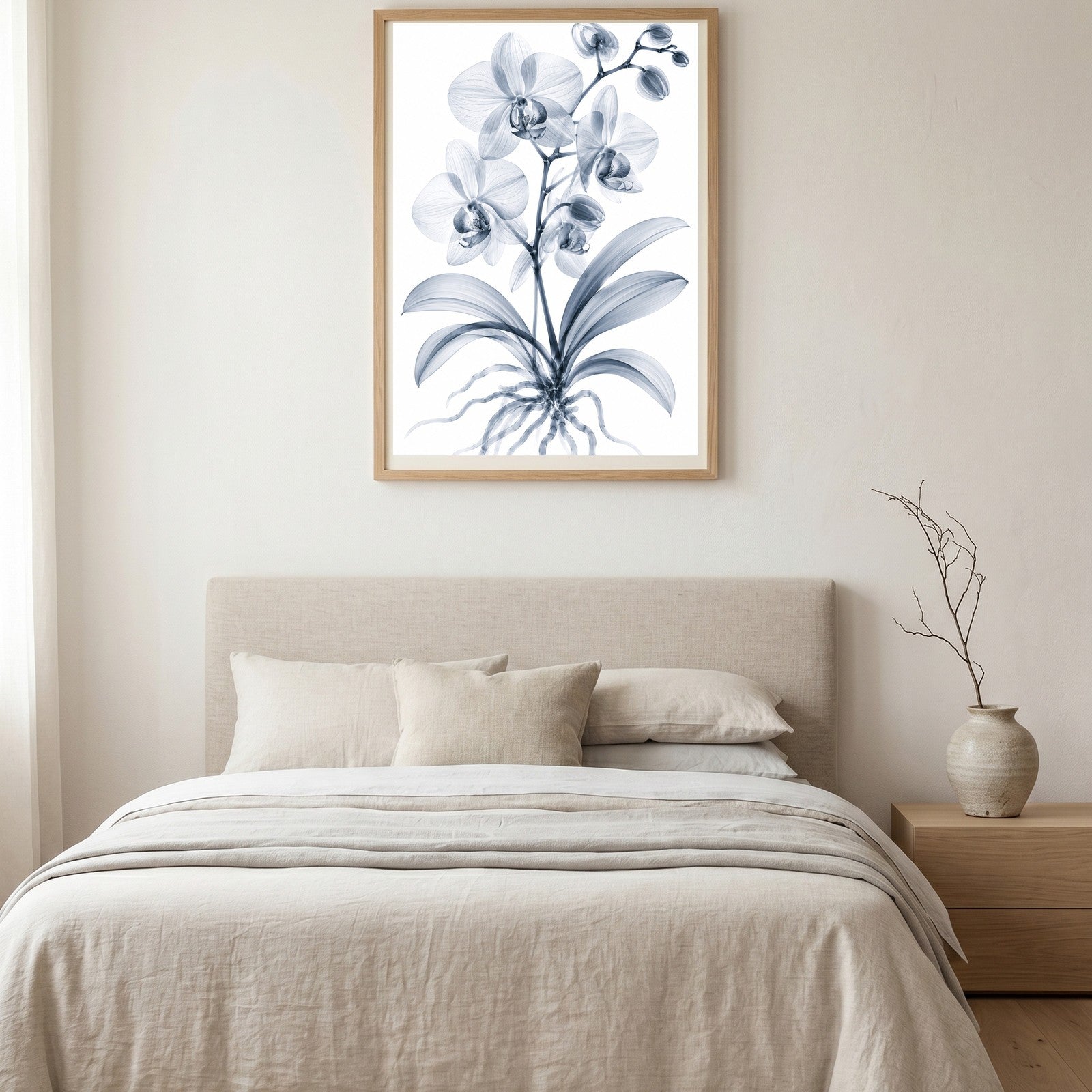 Moth Orchid X-Ray Botanical Art Print | Phalaenopsis | Scientific Floral Wall Art