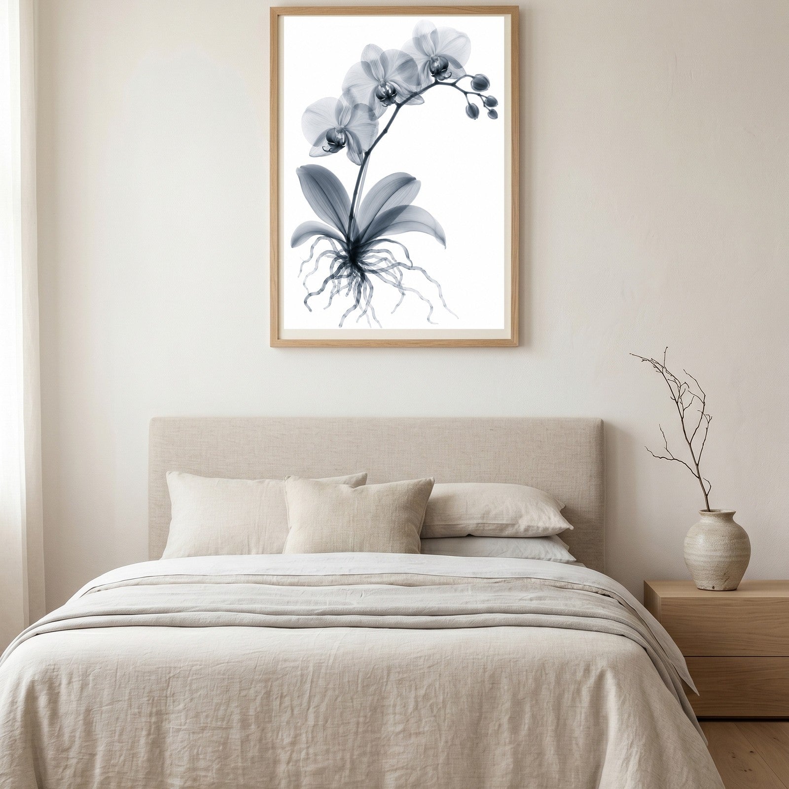 Moth Orchid II X-Ray Botanical Art Print | Phalaenopsis | Scientific Floral Wall Art