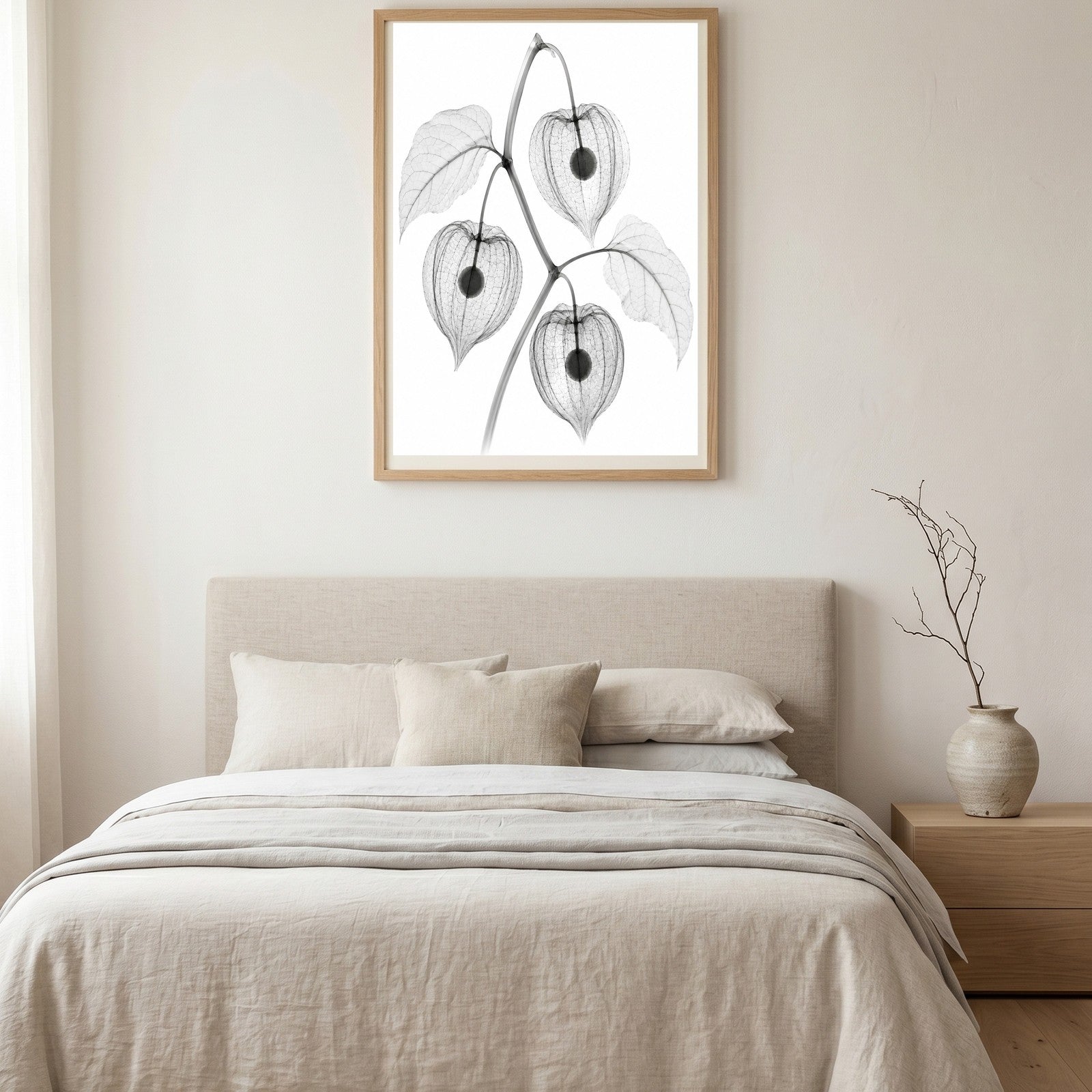 Chinese Lantern X-Ray X-Ray Botanical Art Print | Physalis alkekengi | Scientific Floral Wall Art